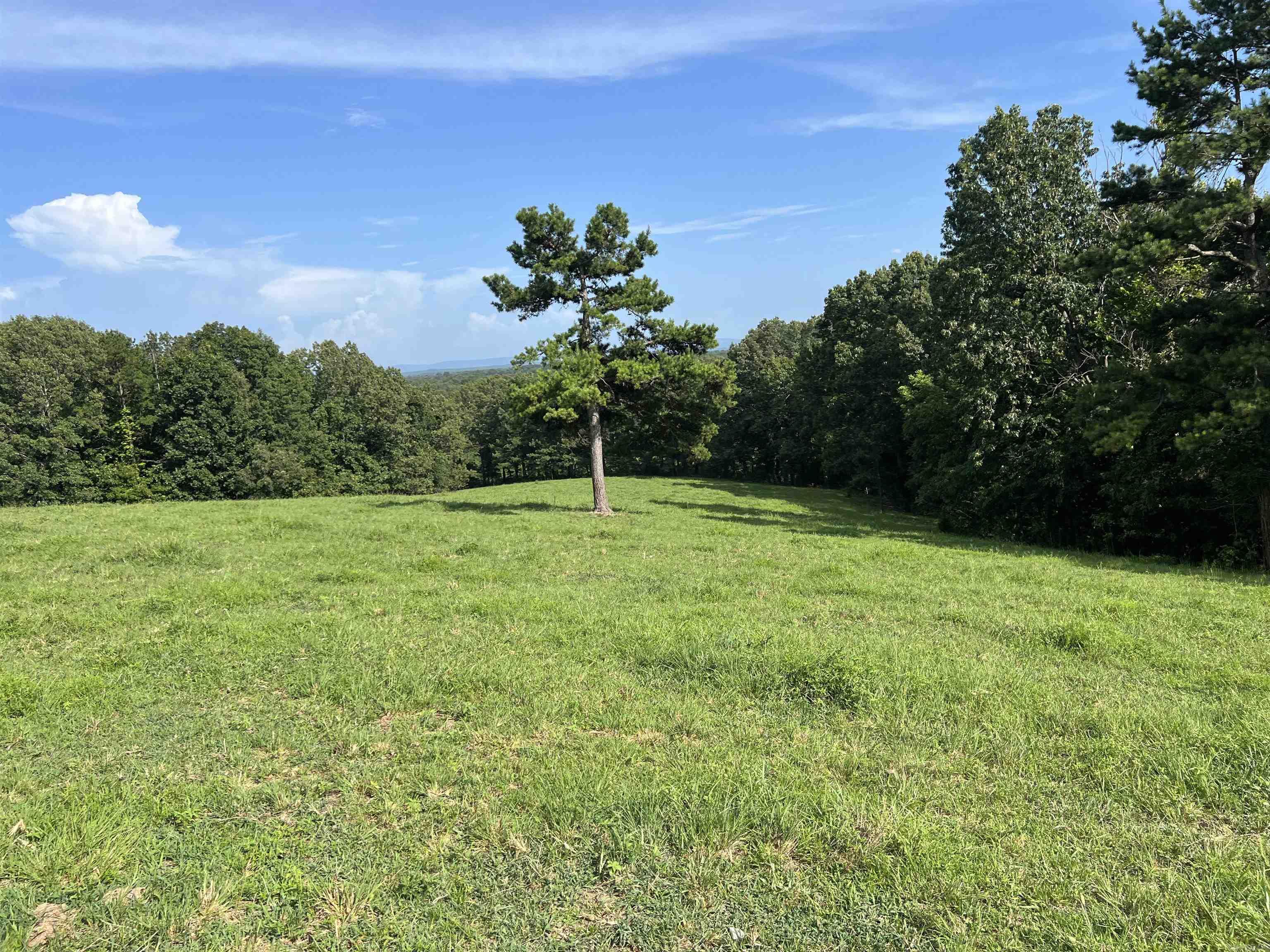 454 Cattail  Saint Joe, AR