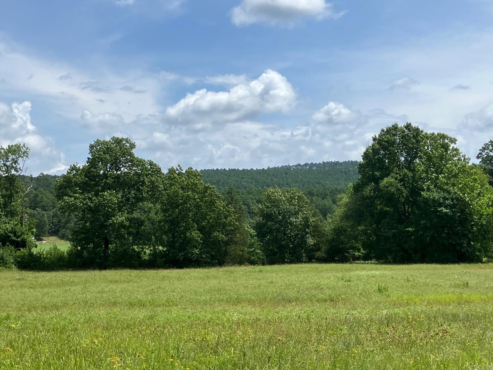 8627 Wildflower Lane  Waldron, AR