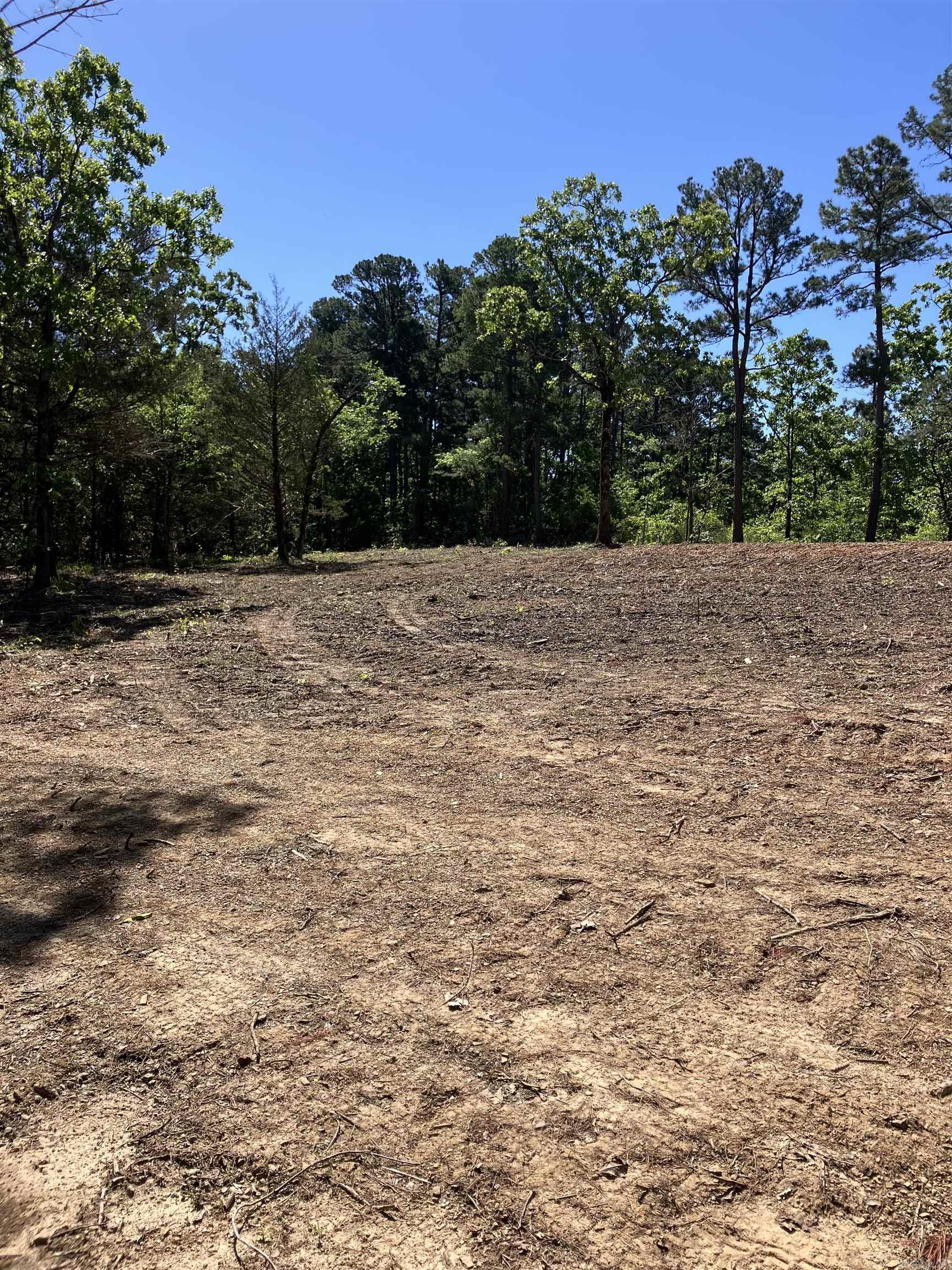 8627 Wildflower Lane  Waldron, AR