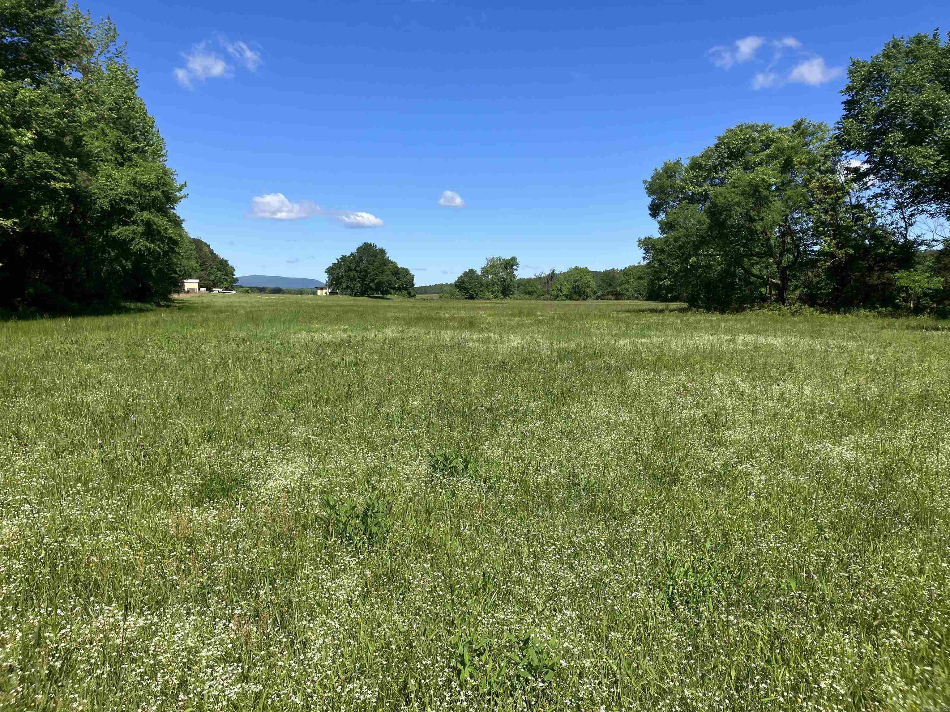 8627 Wildflower Lane  Waldron, AR