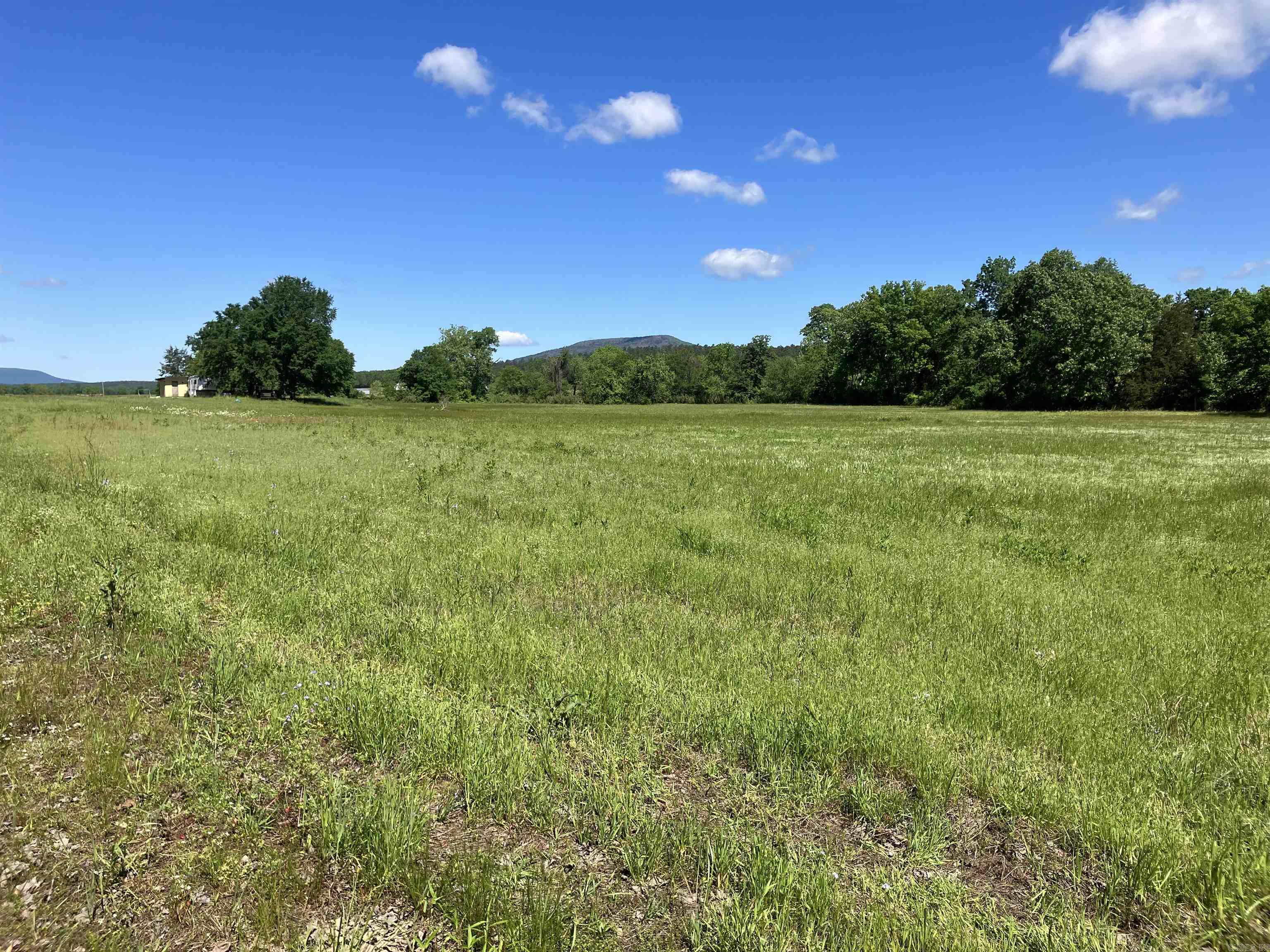 8627 Wildflower Lane  Waldron, AR