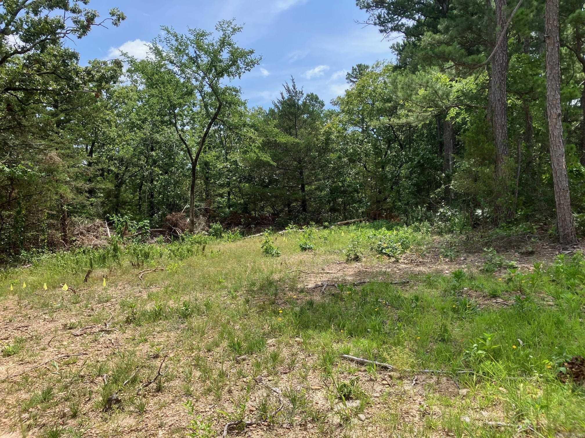 8627 Wildflower Lane  Waldron, AR