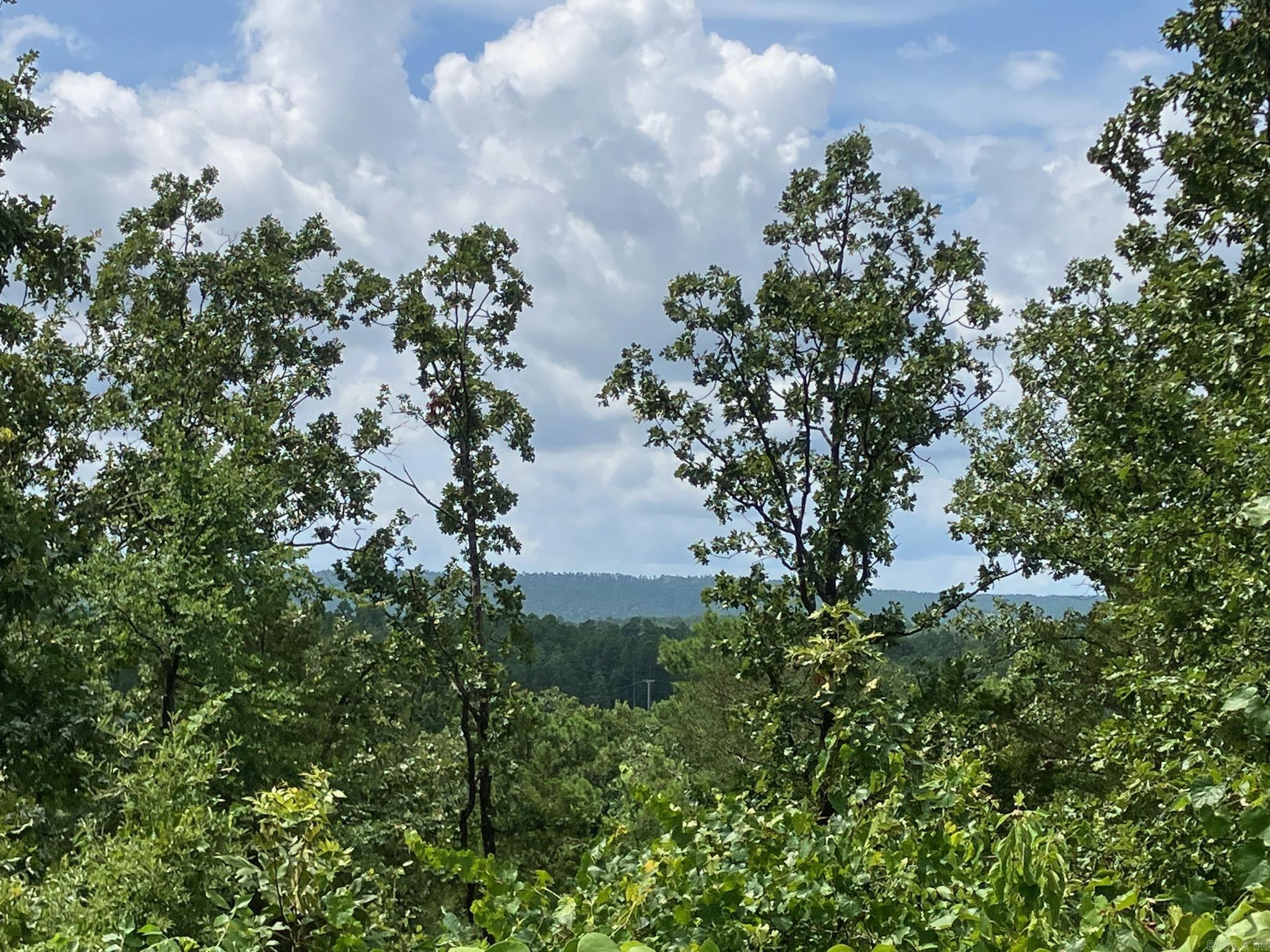 8627 Wildflower Lane  Waldron, AR