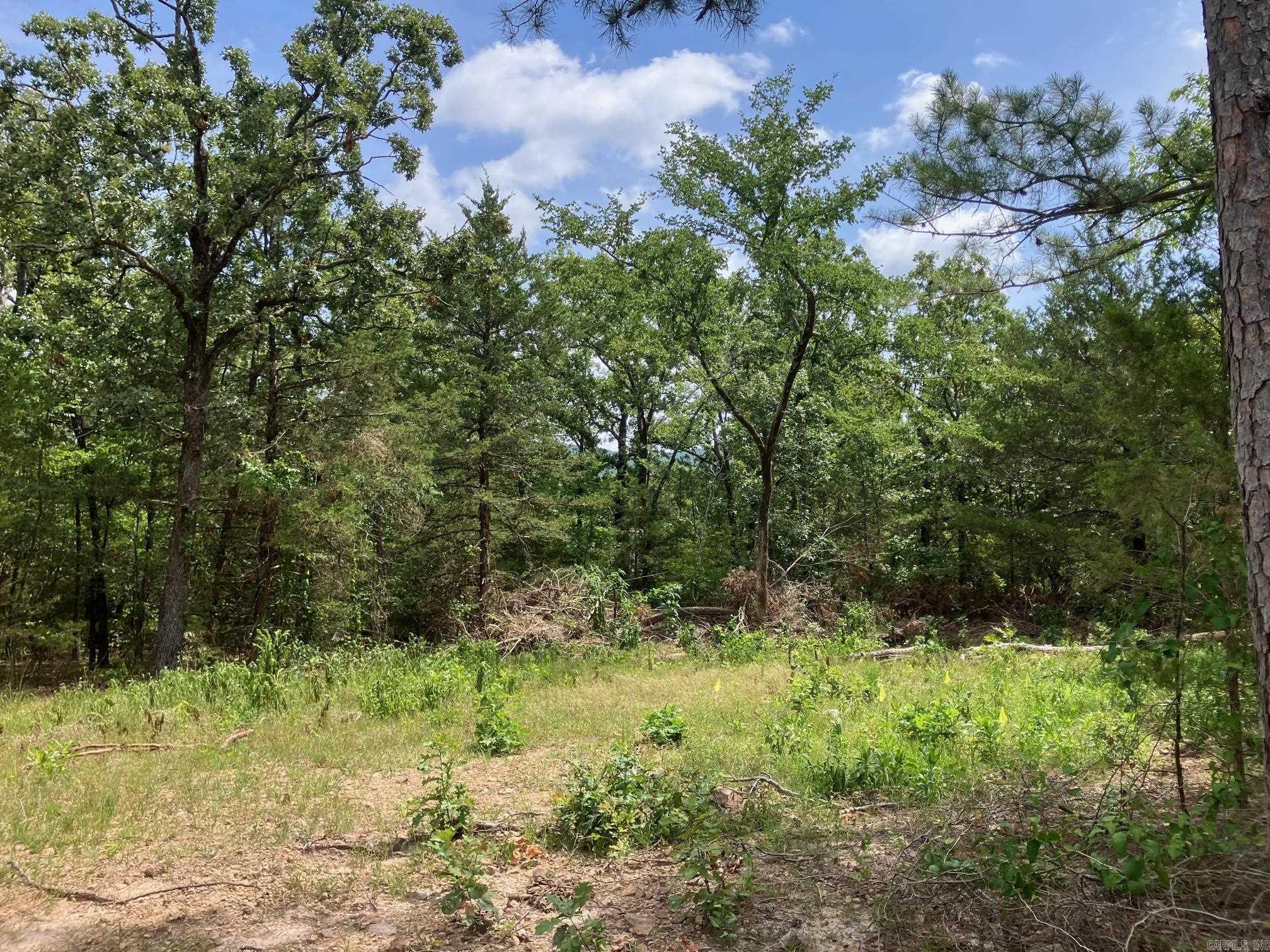 8627 Wildflower Lane  Waldron, AR