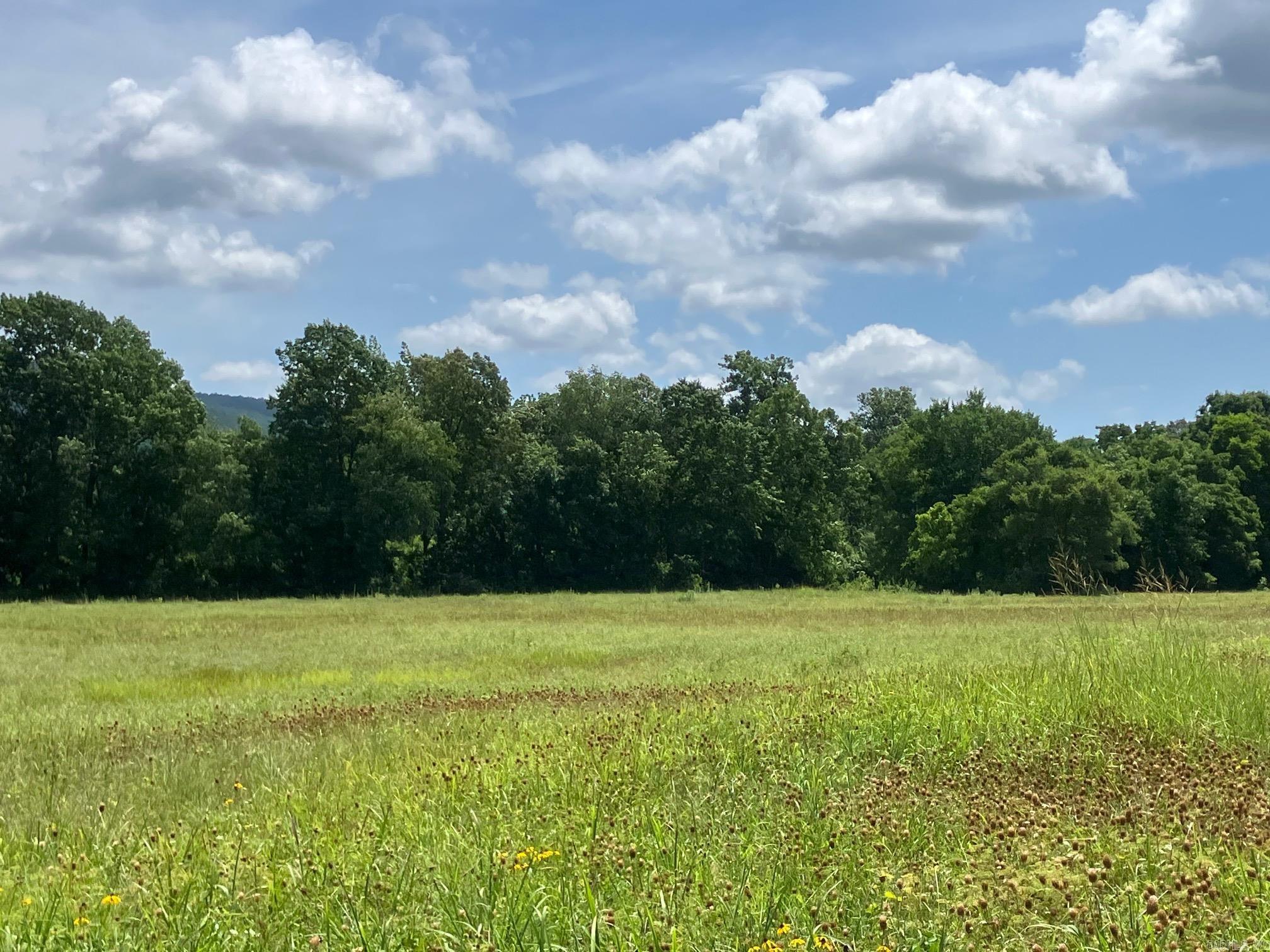 8627 Wildflower Lane  Waldron, AR