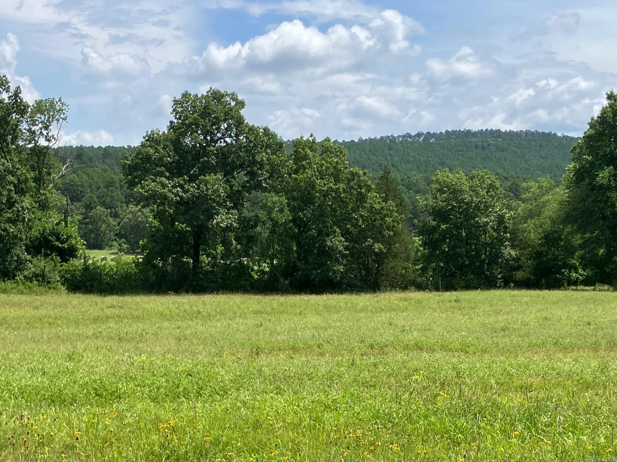 8627 Wildflower Lane  Waldron, AR