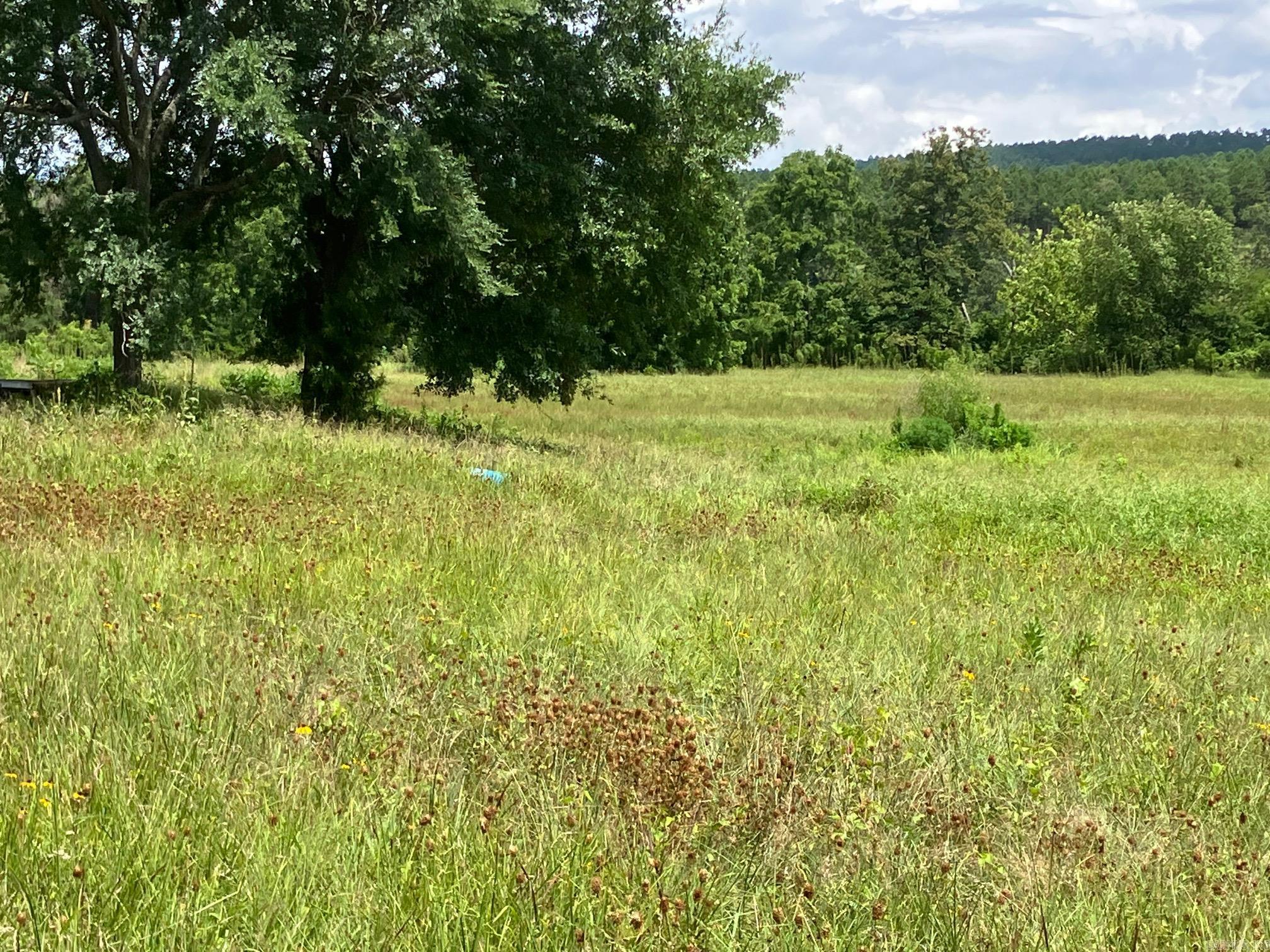 8627 Wildflower Lane  Waldron, AR