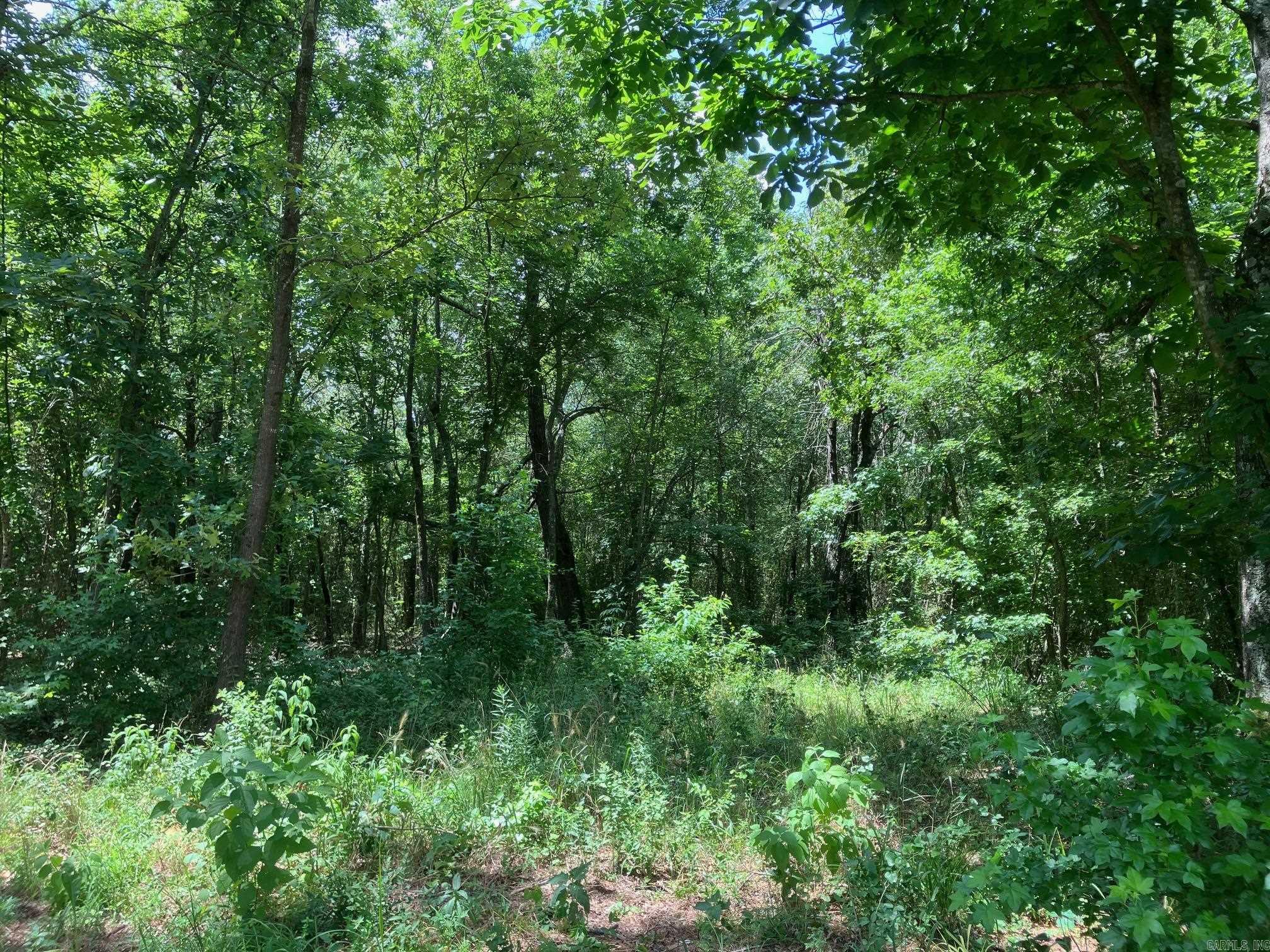8627 Wildflower Lane  Waldron, AR
