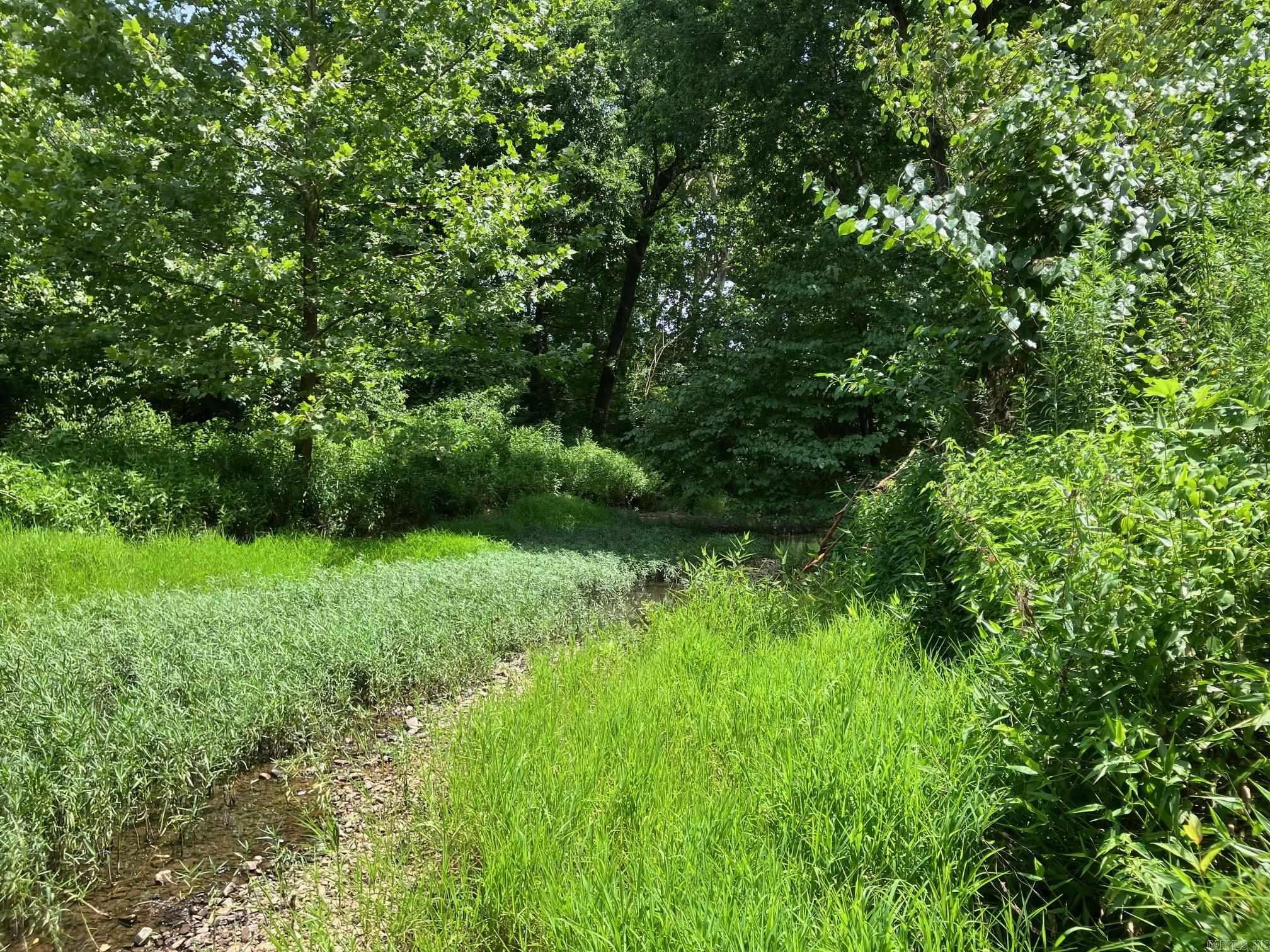 8627 Wildflower Lane  Waldron, AR