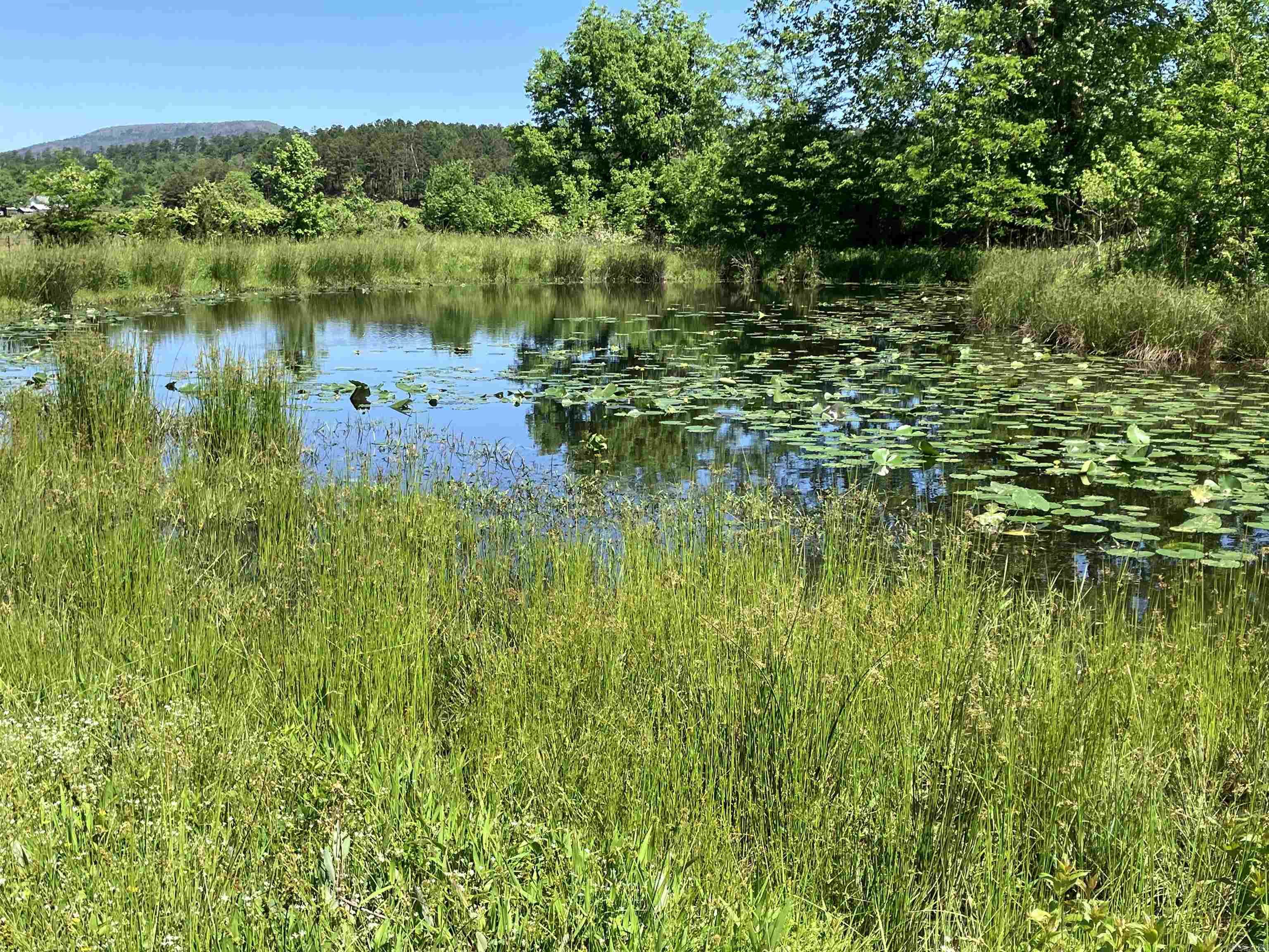 8627 Wildflower Lane  Waldron, AR