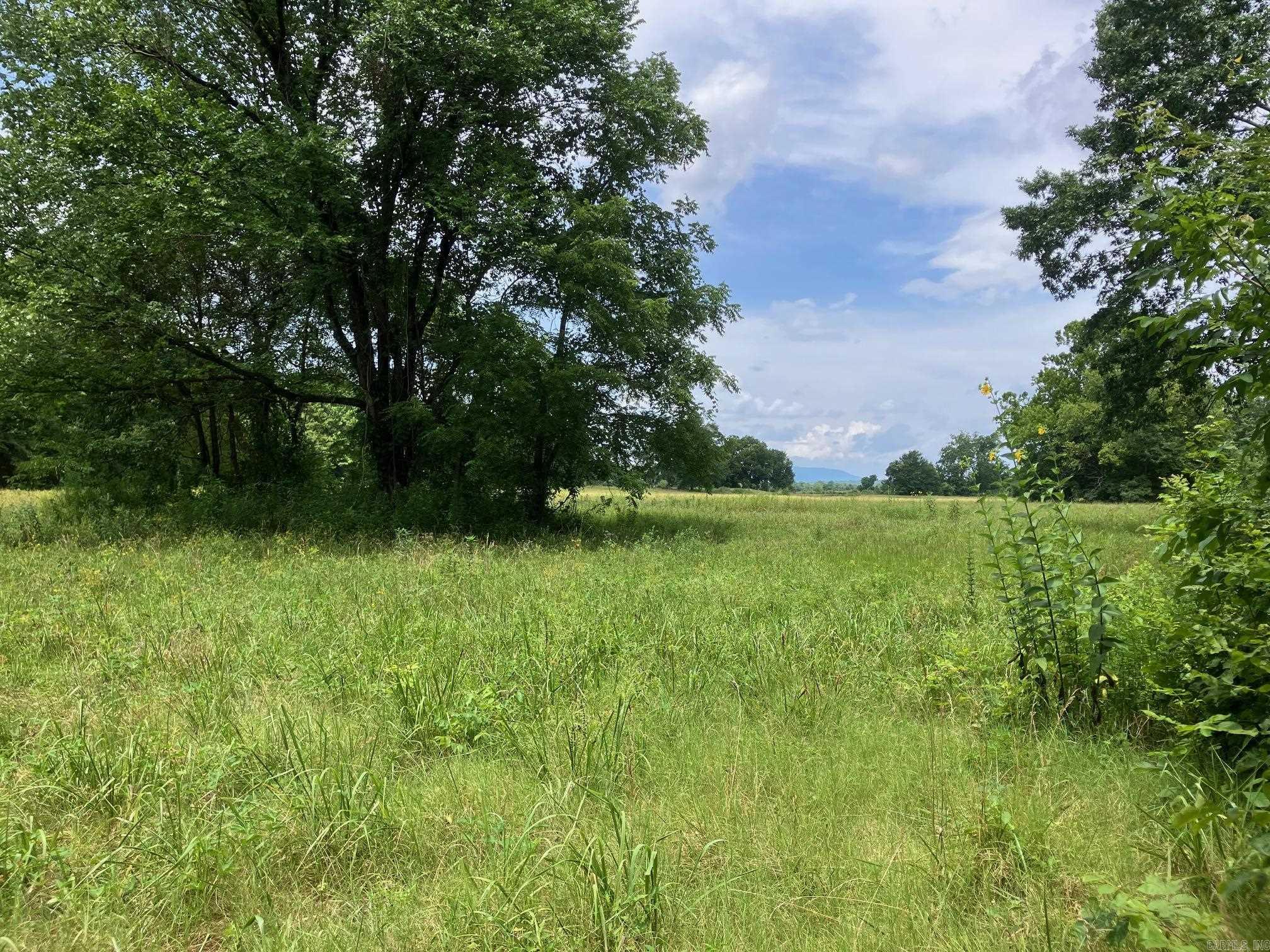 8627 Wildflower Lane  Waldron, AR