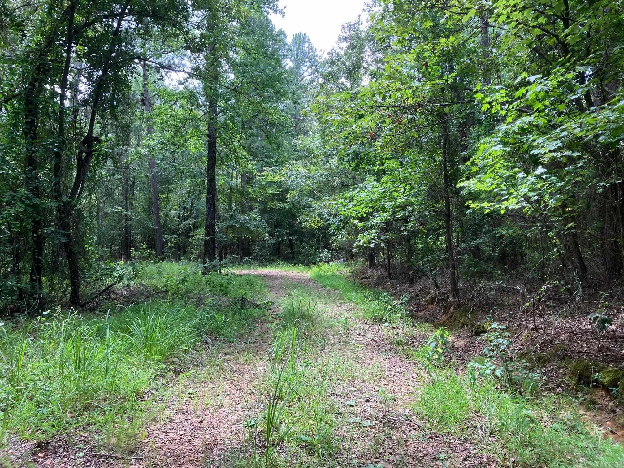 8627 Wildflower Lane  Waldron, AR