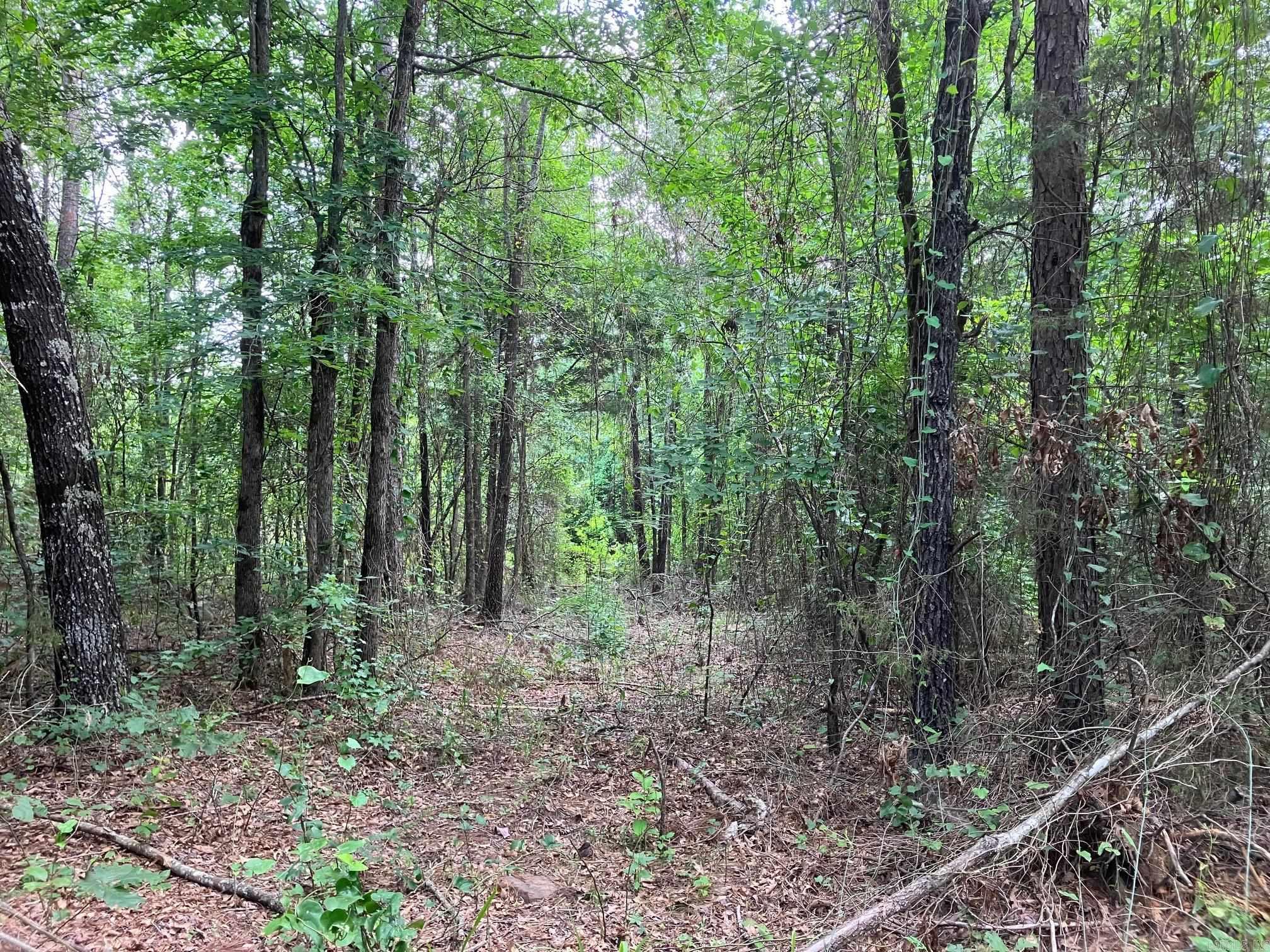8627 Wildflower Lane  Waldron, AR