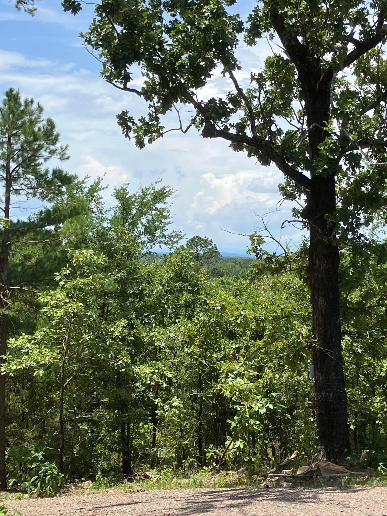 8627 Wildflower Lane  Waldron, AR