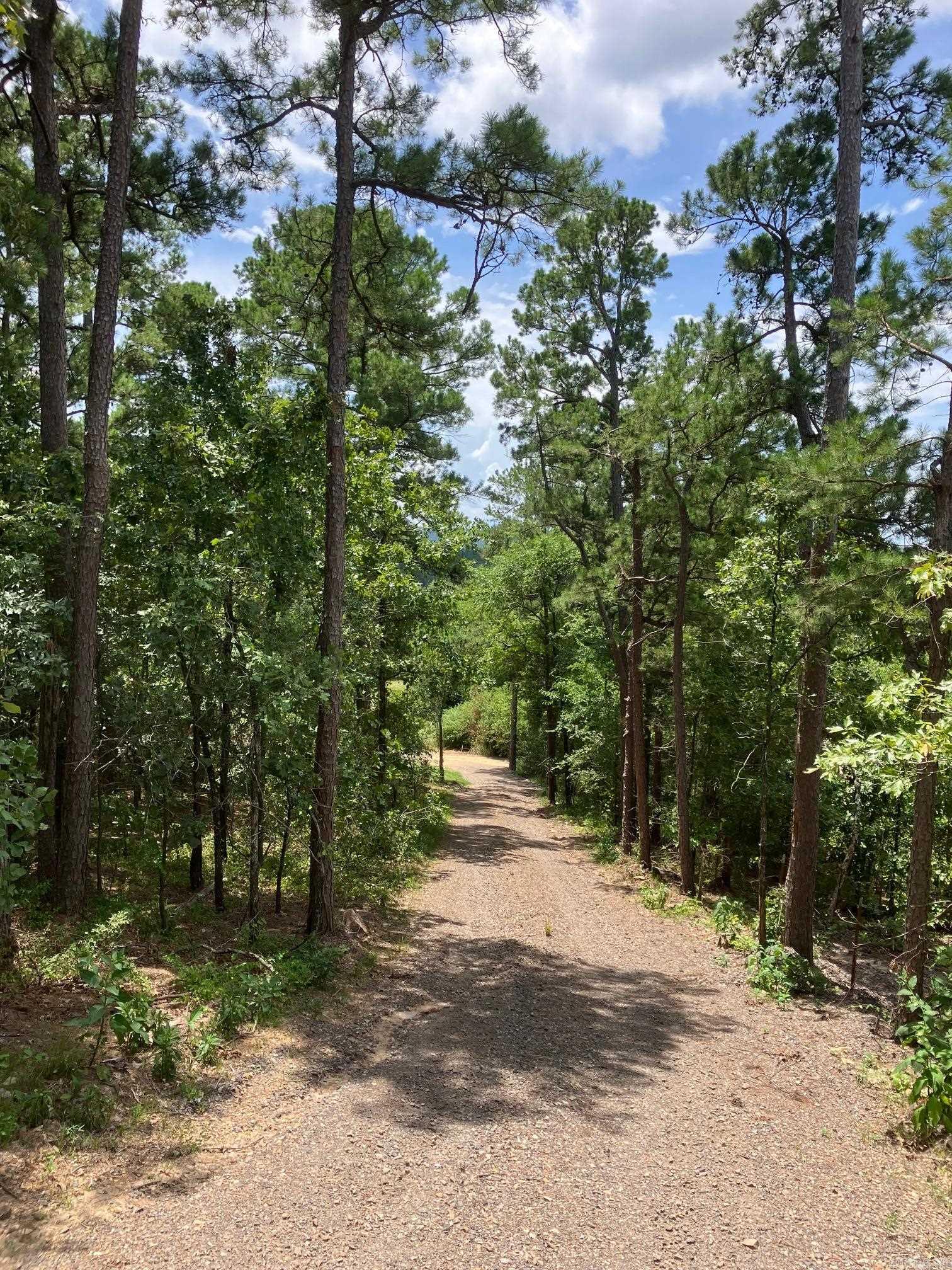 8627 Wildflower Lane  Waldron, AR