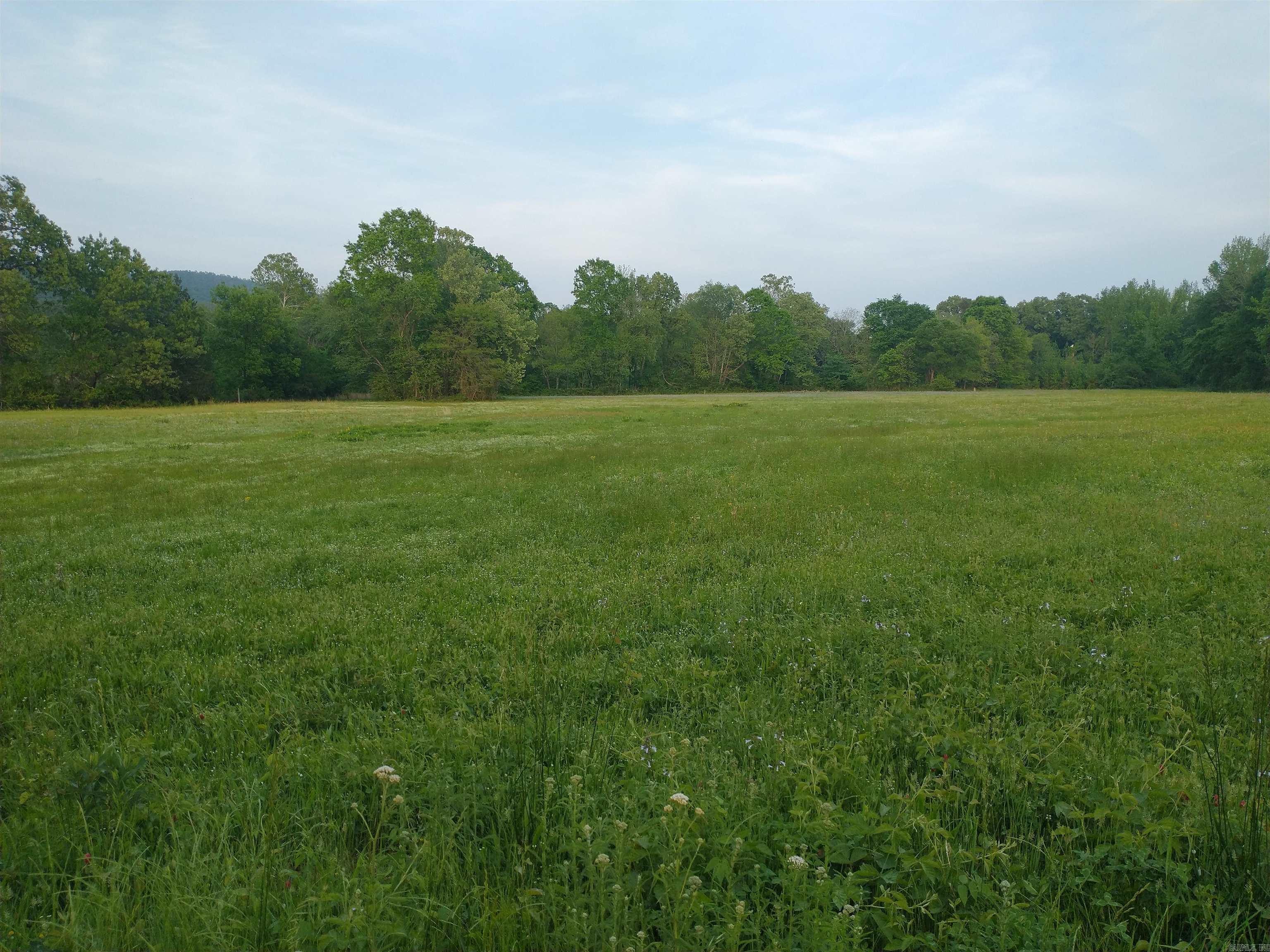 8627 Wildflower Lane  Waldron, AR