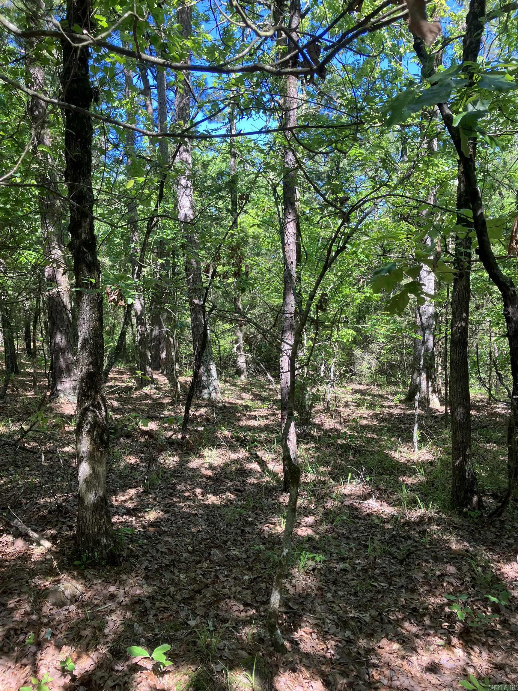 8627 Wildflower Lane  Waldron, AR