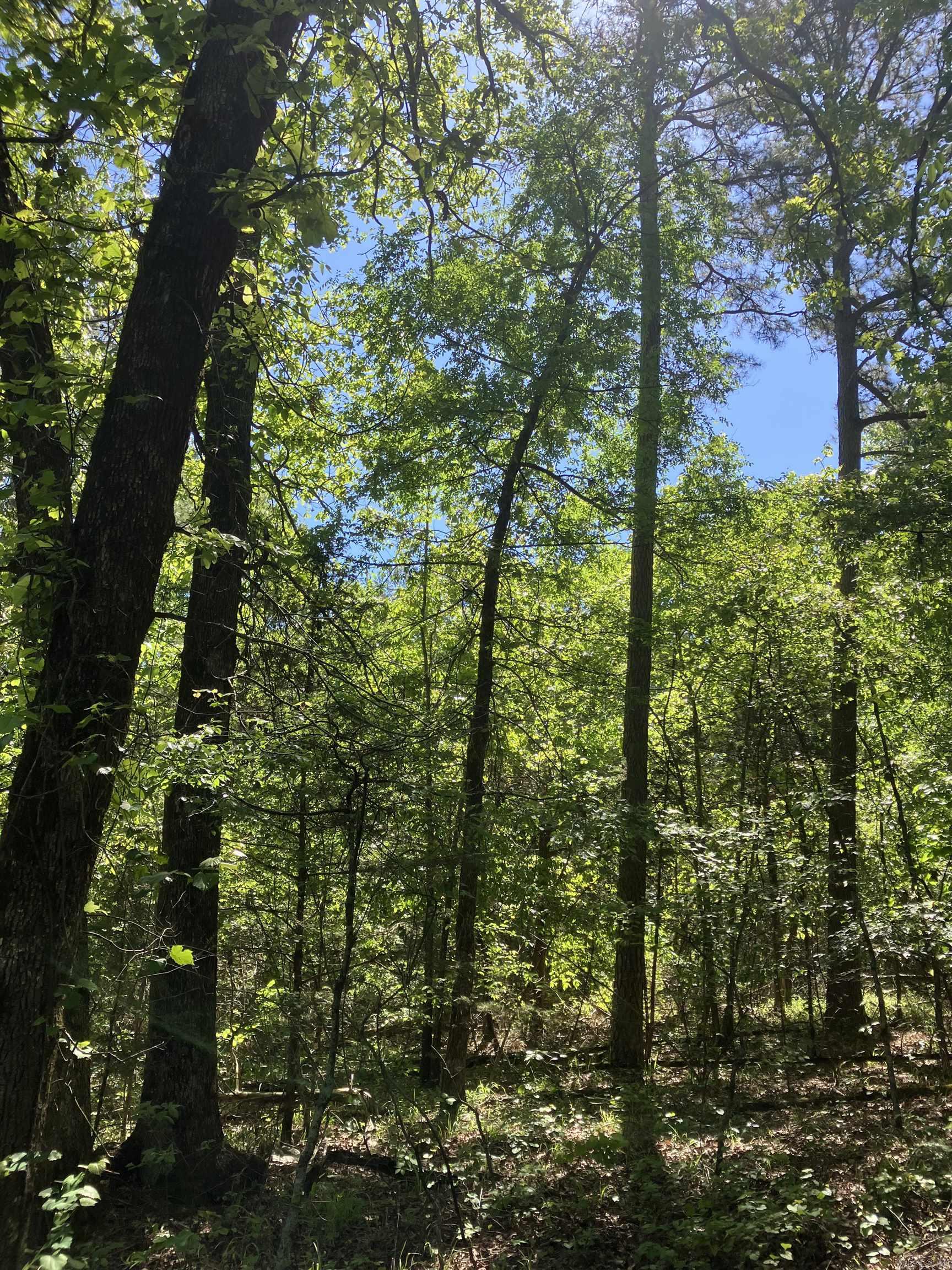 8627 Wildflower Lane  Waldron, AR