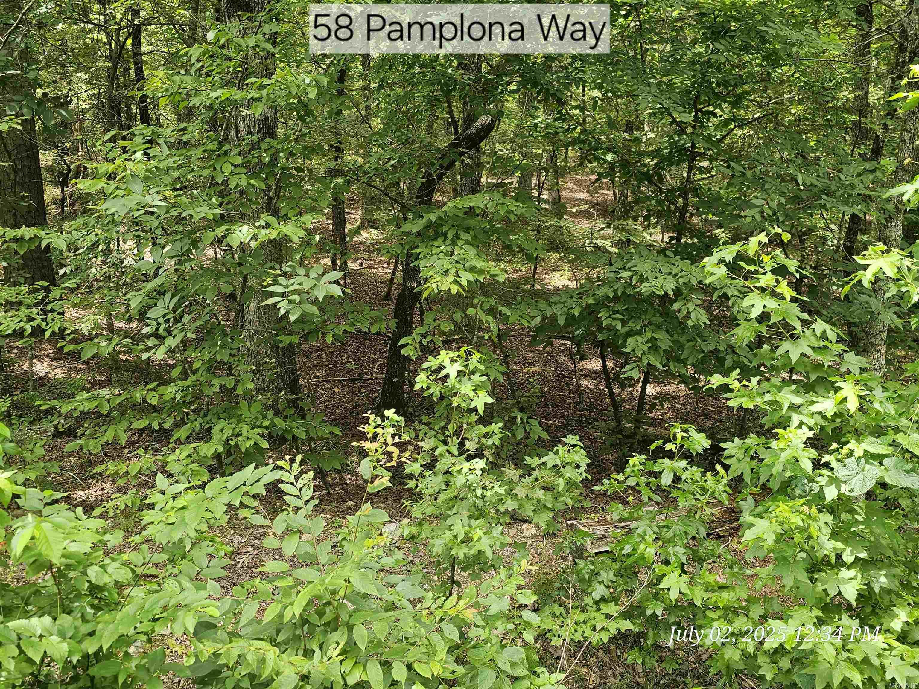 58 Pamplona Way  Hot Springs Village, AR