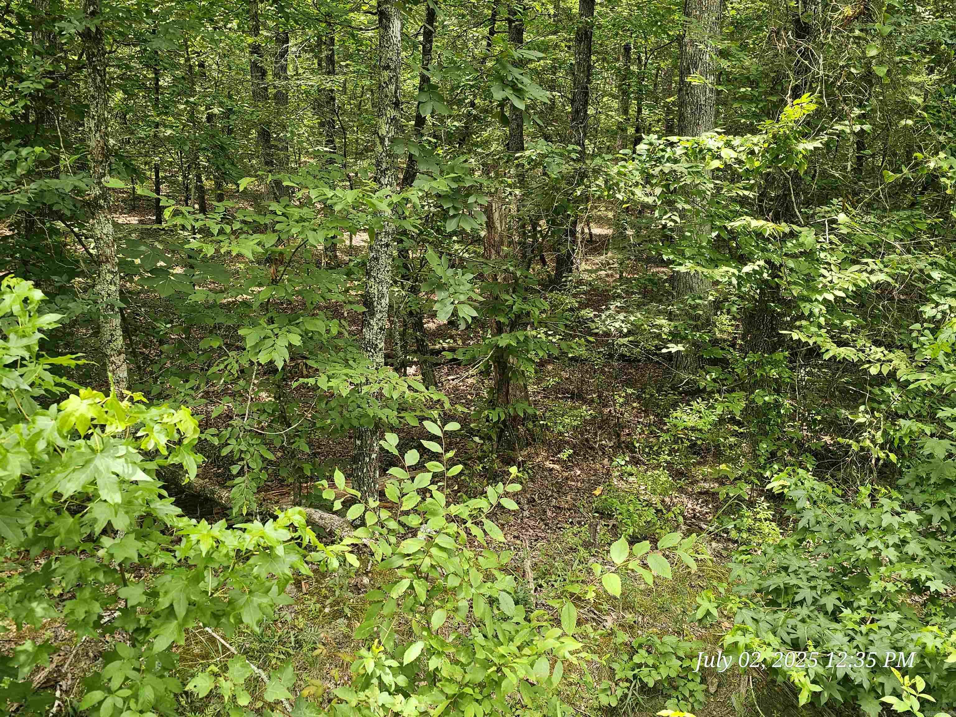 58 Pamplona Way  Hot Springs Village, AR