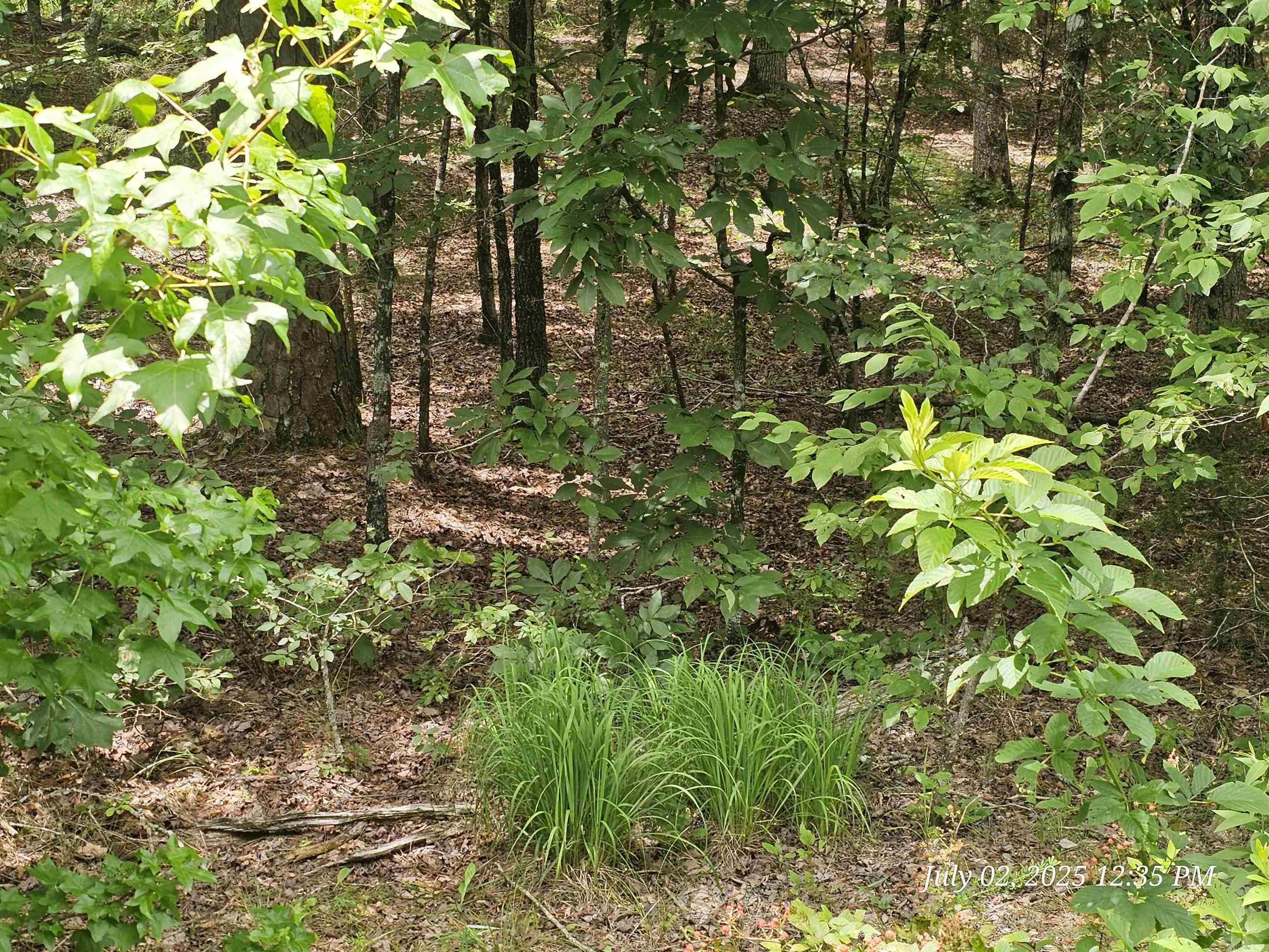 58 Pamplona Way  Hot Springs Village, AR
