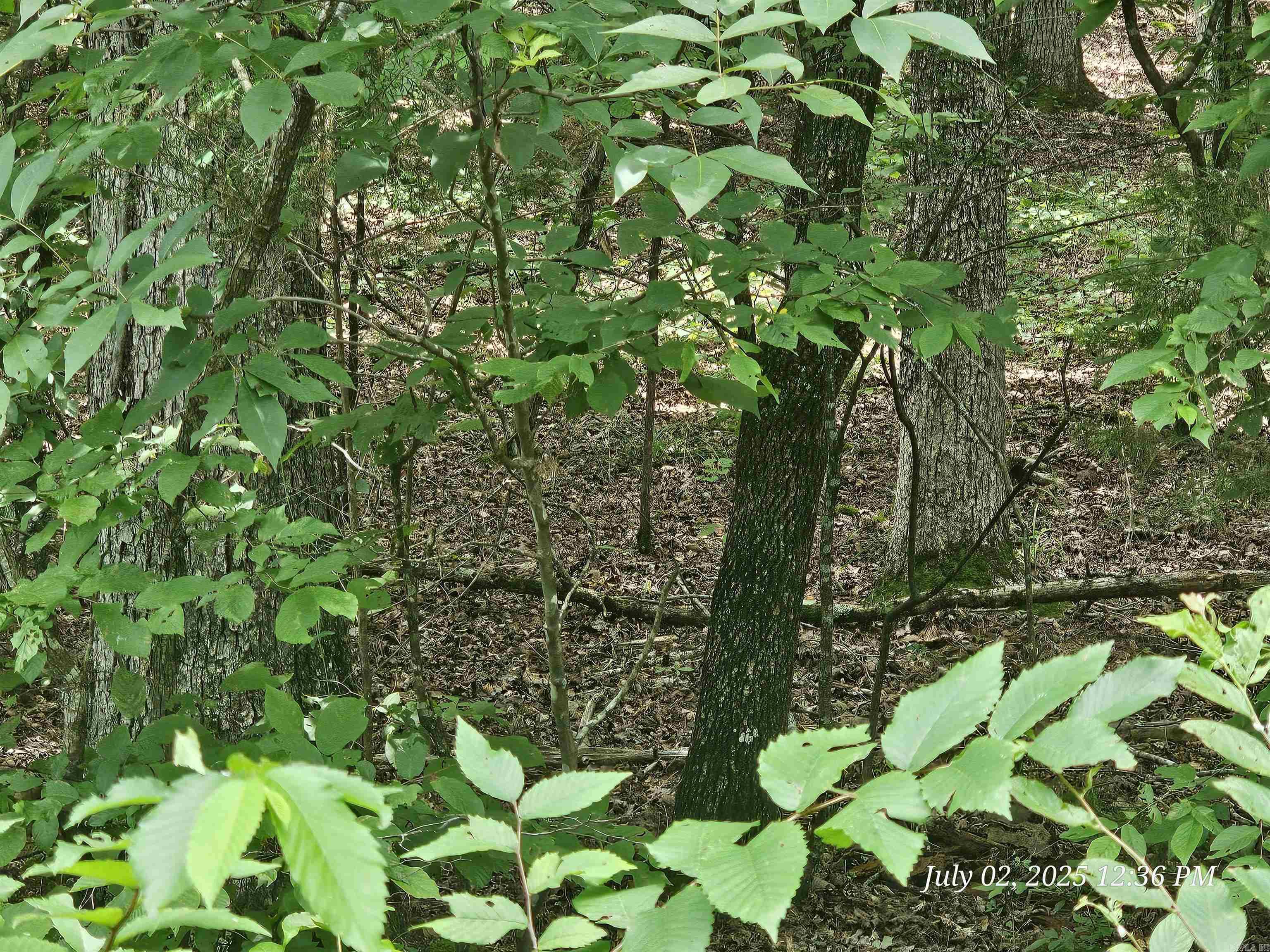 58 Pamplona Way  Hot Springs Village, AR