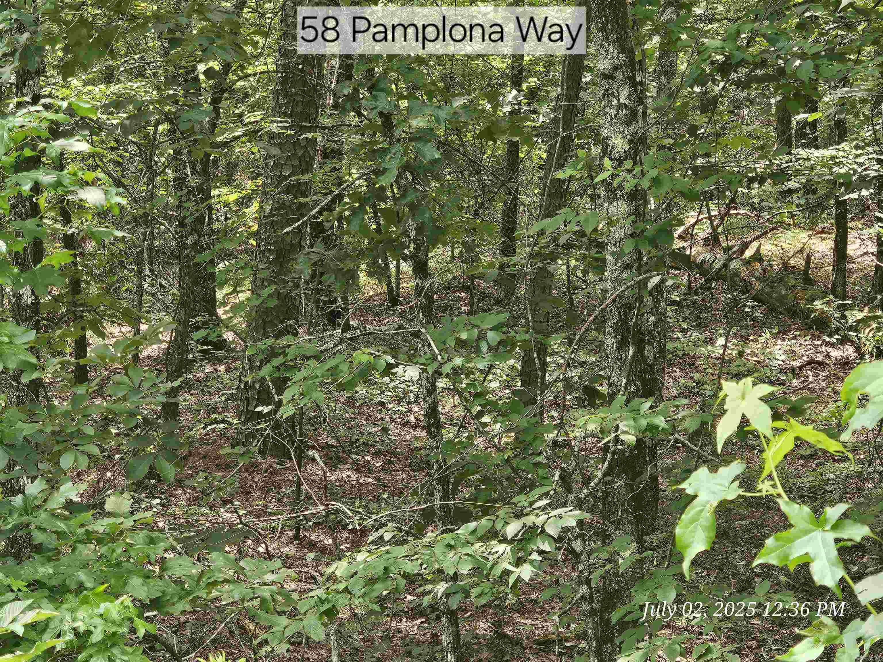 58 Pamplona Way  Hot Springs Village, AR