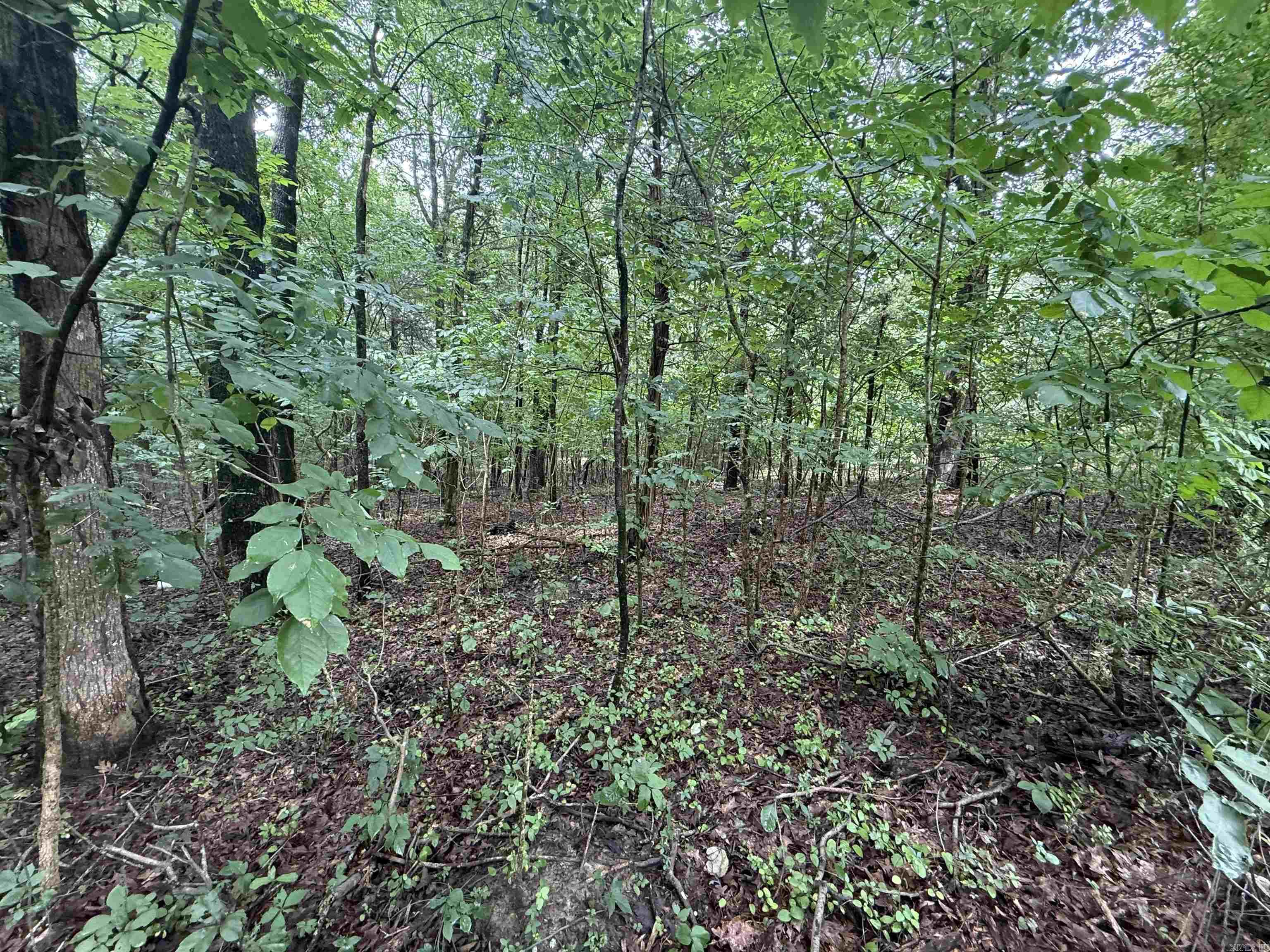1 Clay 472/461  Piggott, AR