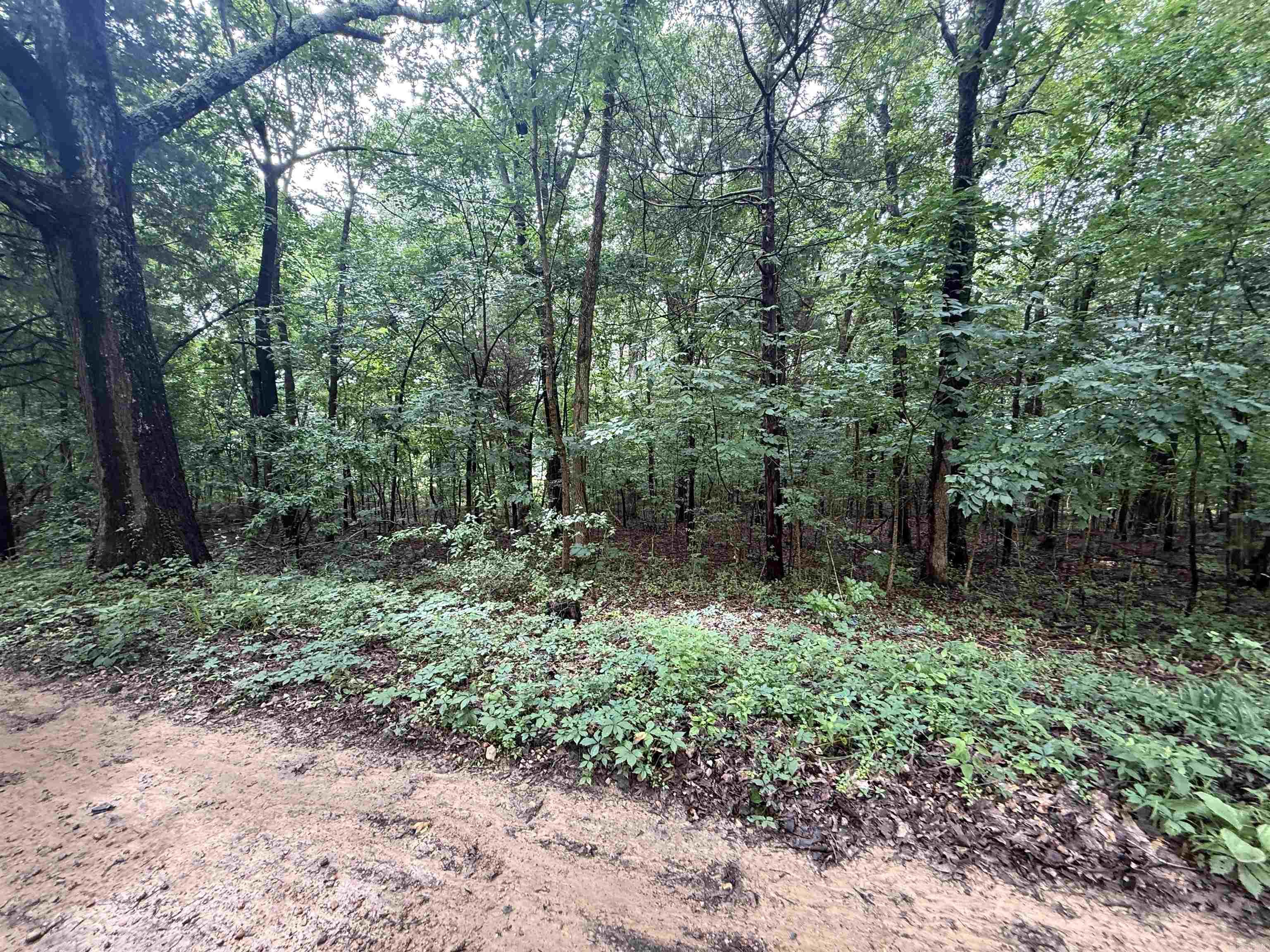 1 Clay 472/461  Piggott, AR