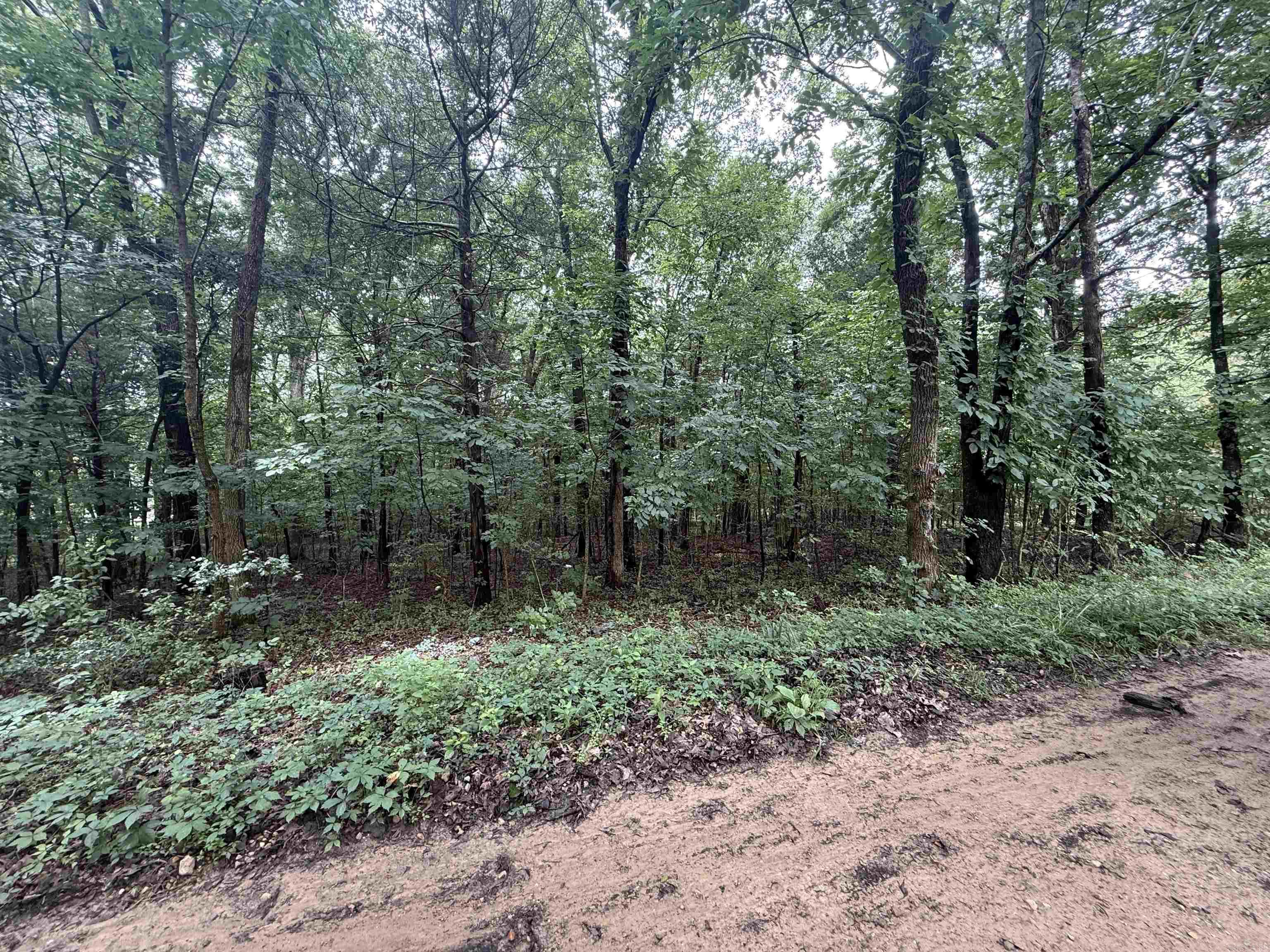 1 Clay 472/461  Piggott, AR