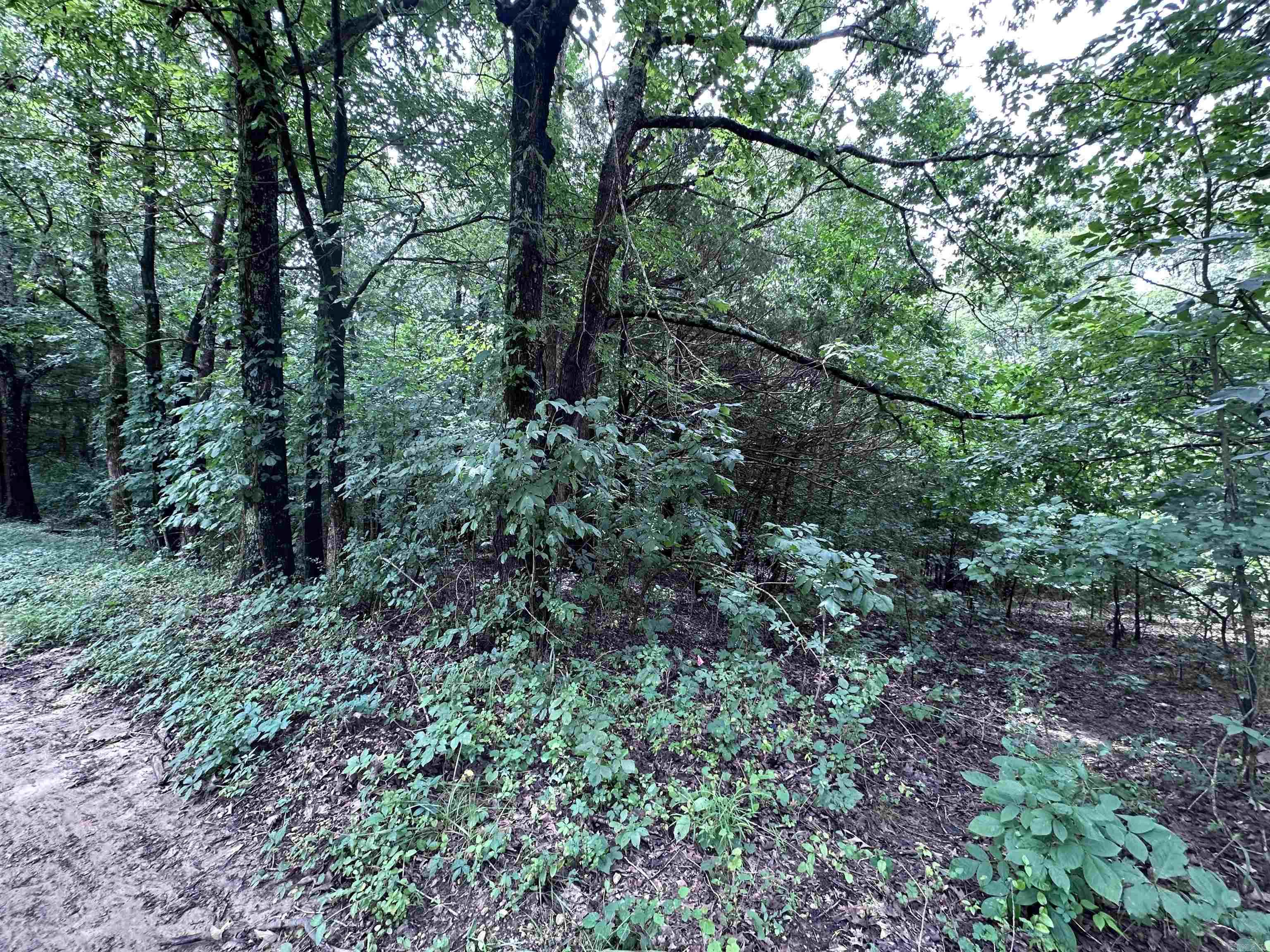 1 Clay 472/461  Piggott, AR