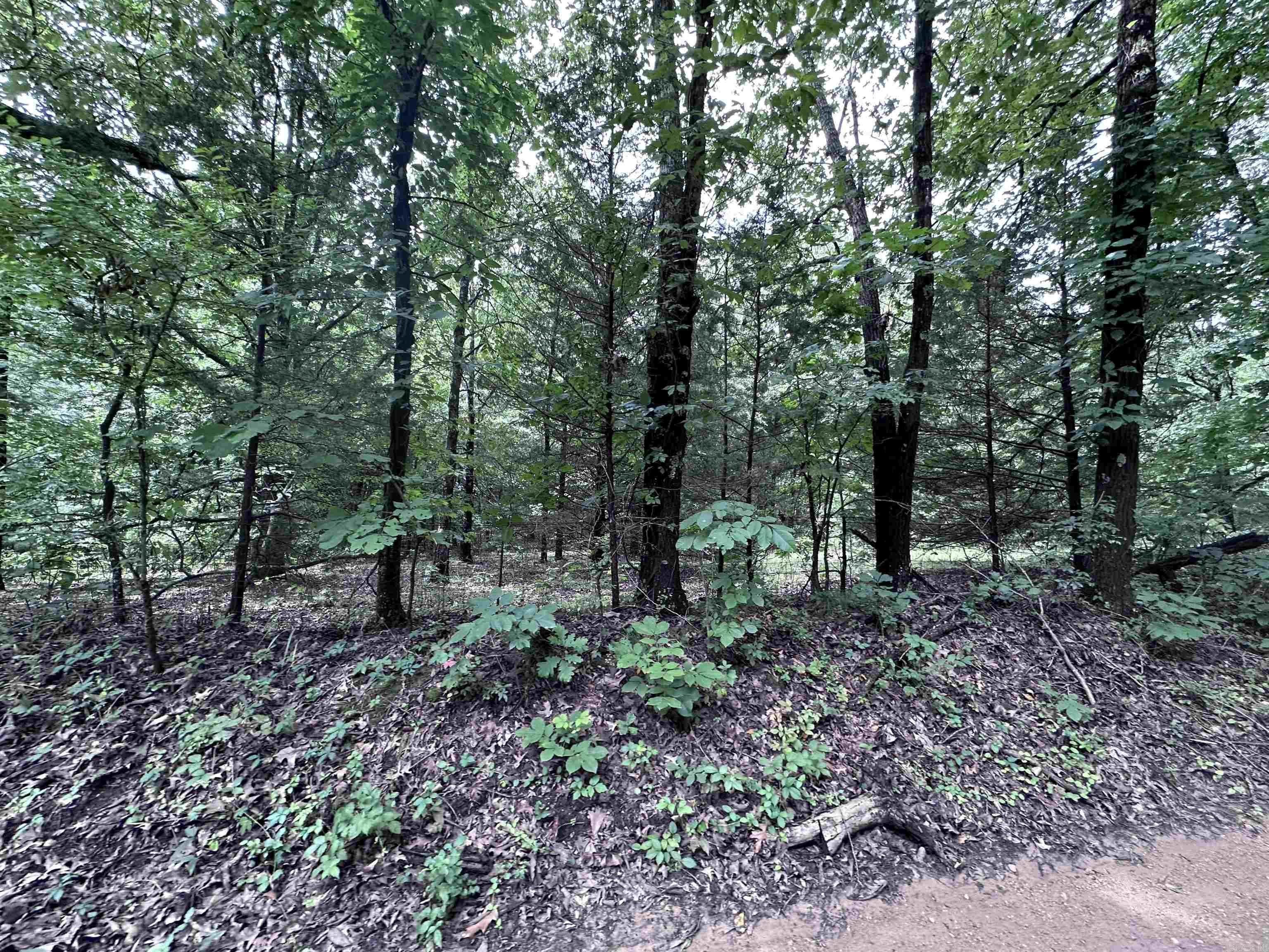 1 Clay 472/461  Piggott, AR