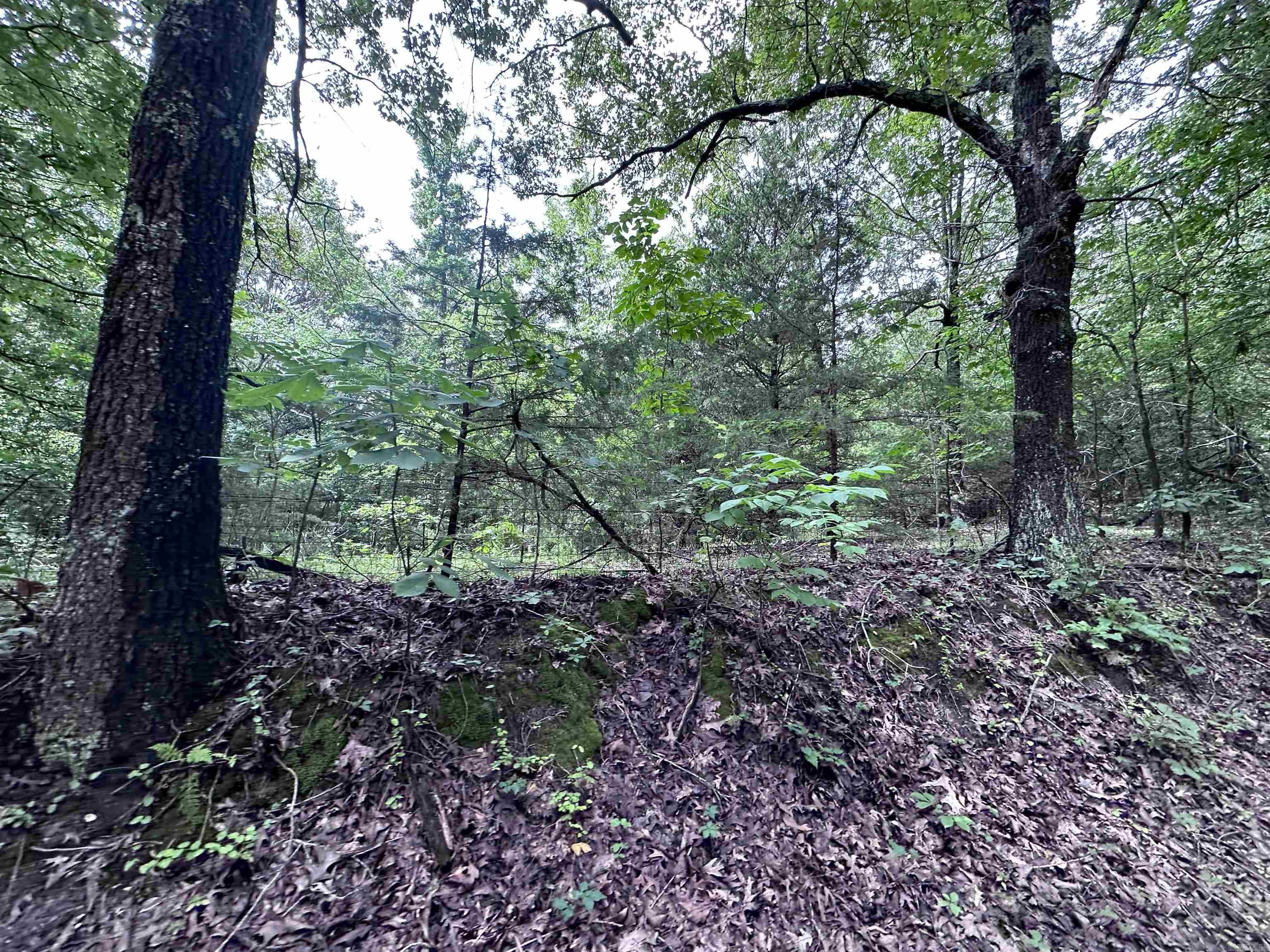 1 Clay 472/461  Piggott, AR