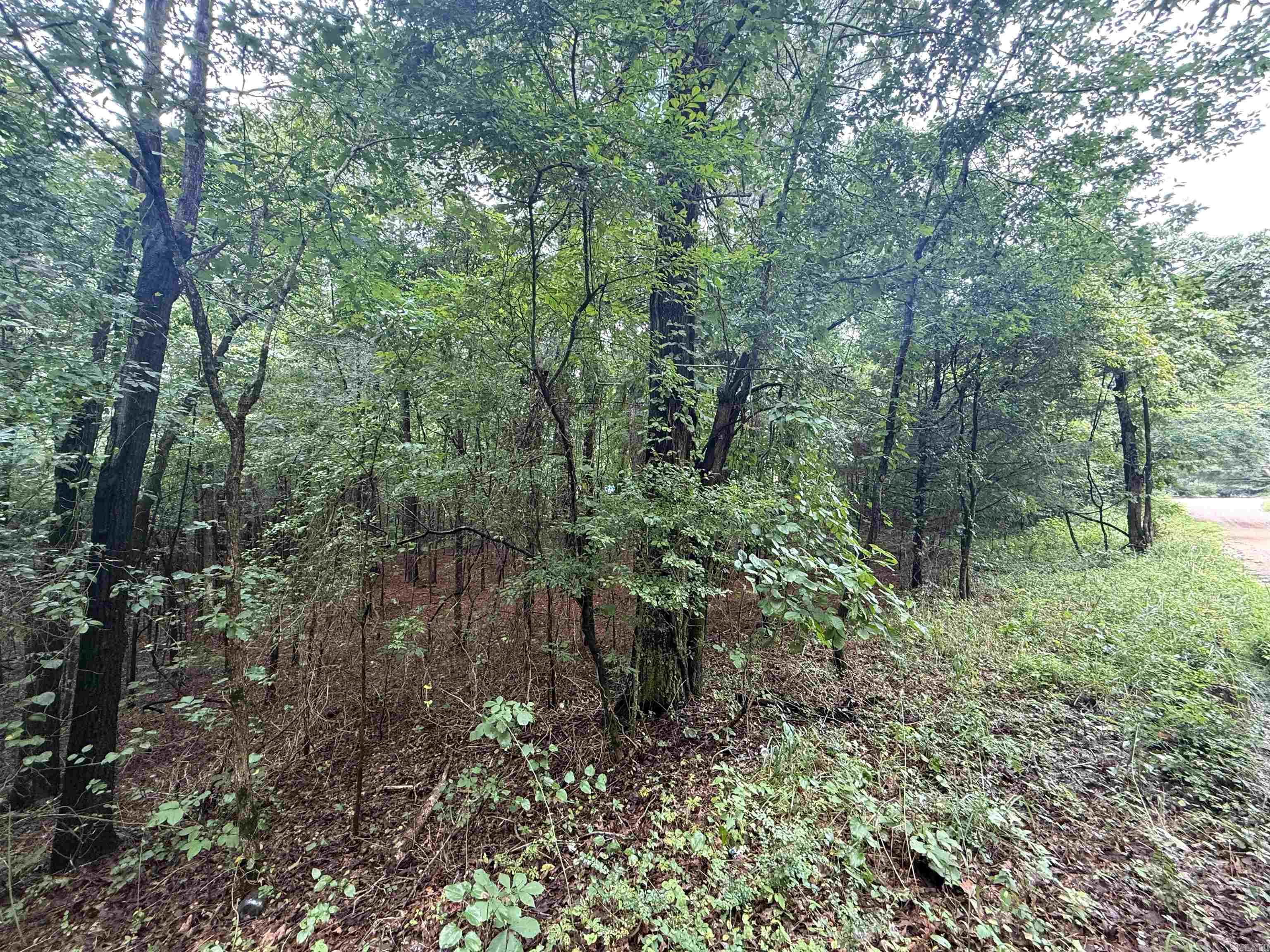 1 Clay 472/461  Piggott, AR