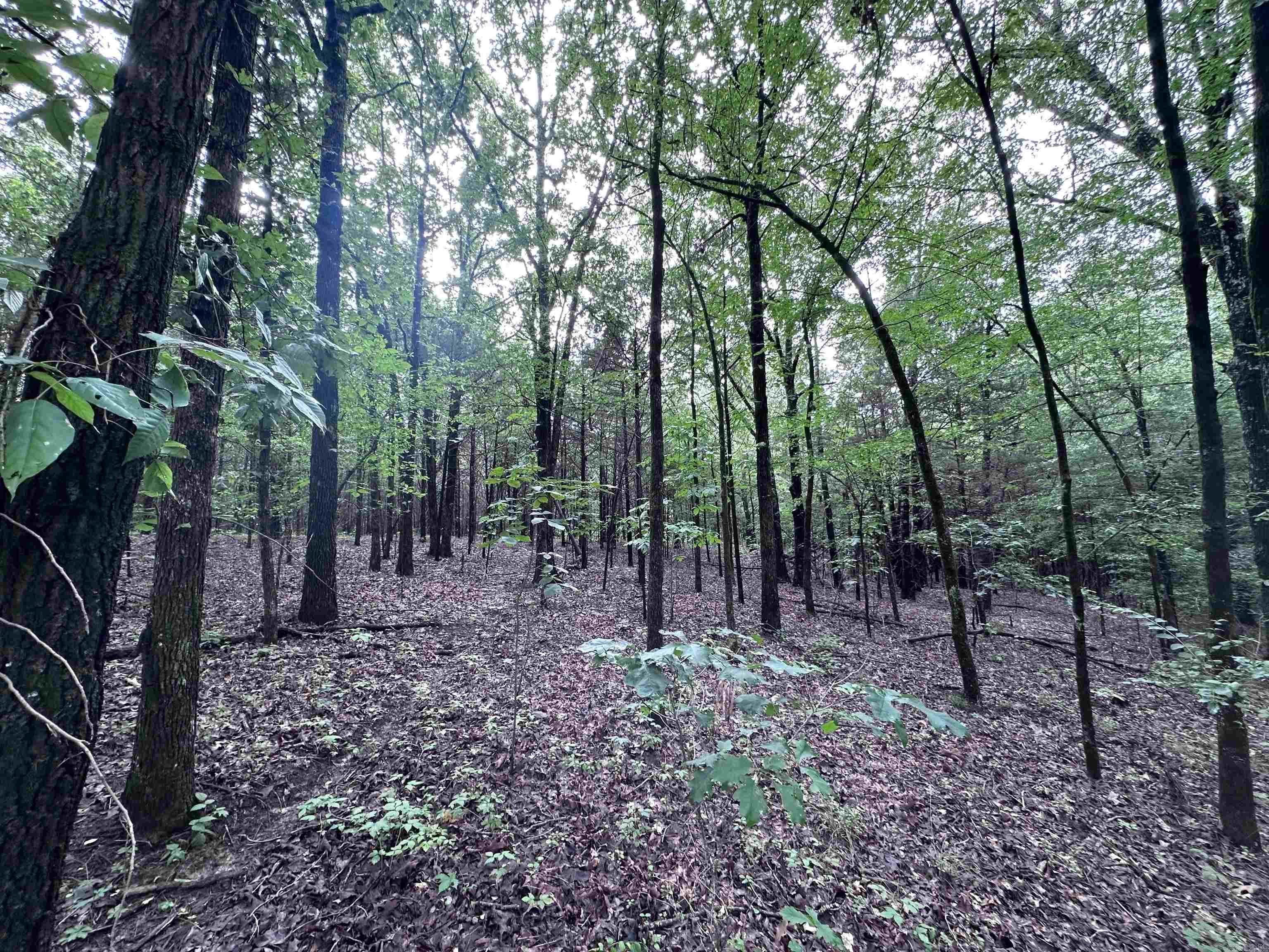 1 Clay 472/461  Piggott, AR