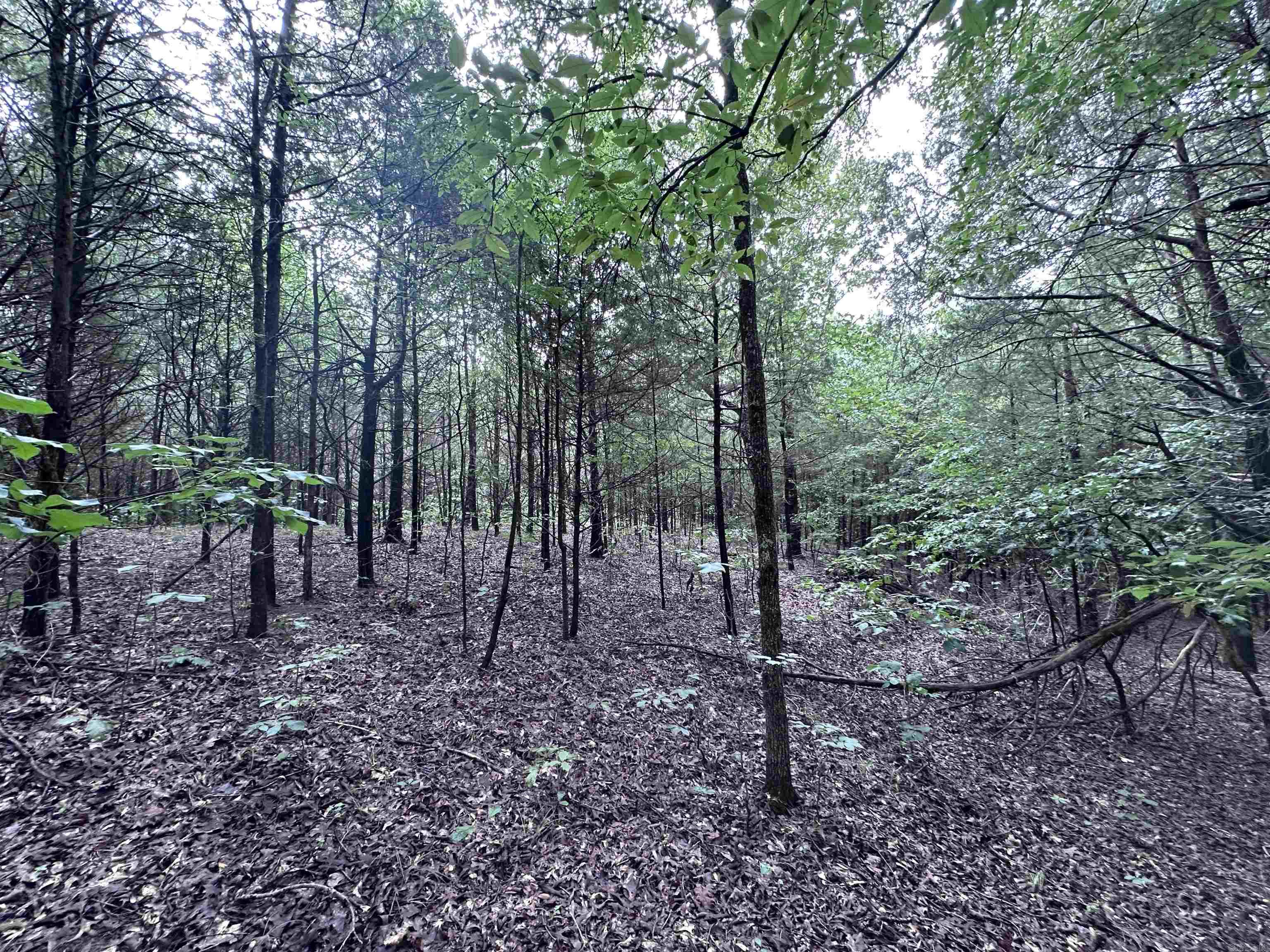 1 Clay 472/461  Piggott, AR