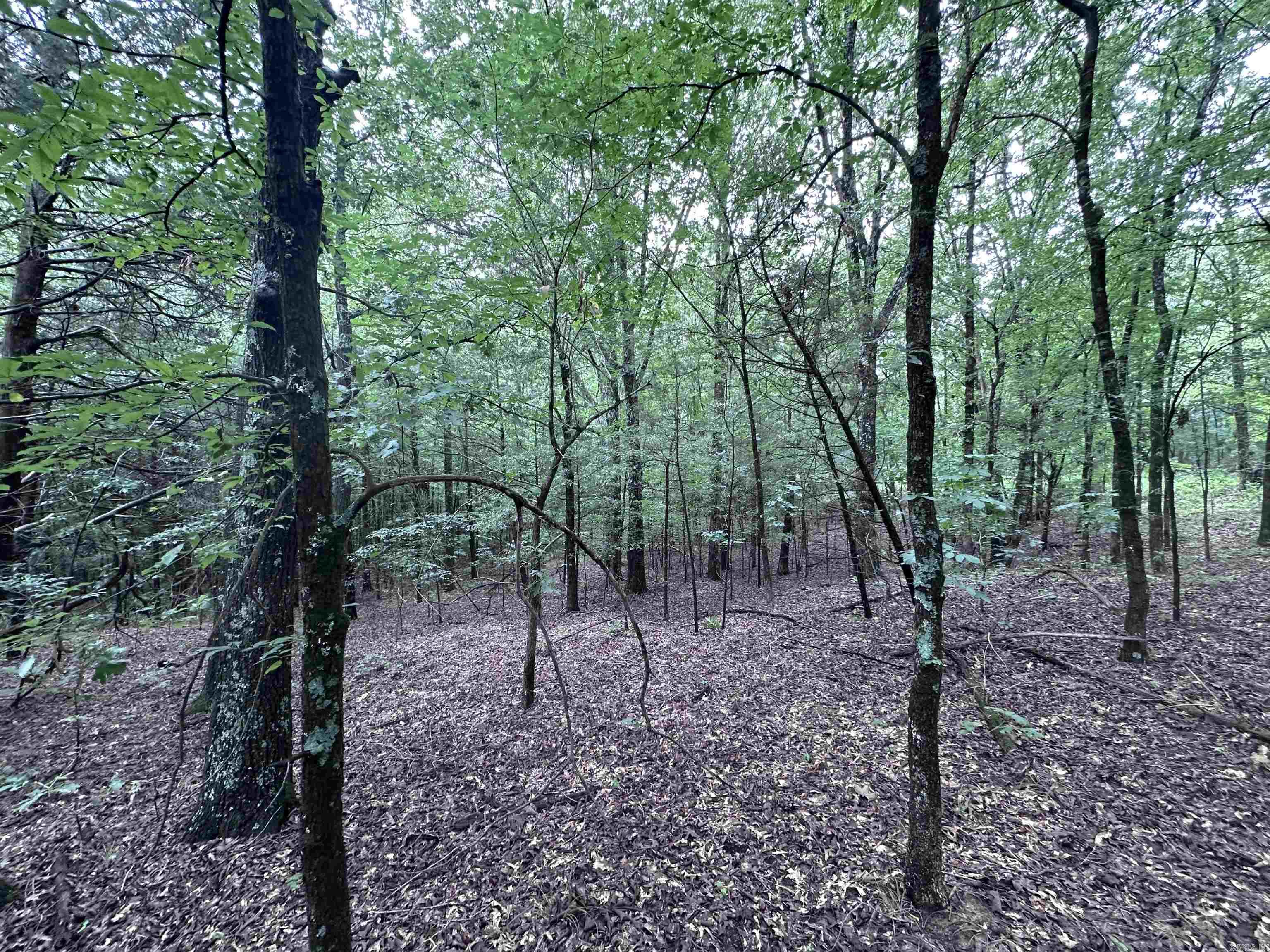 1 Clay 472/461  Piggott, AR