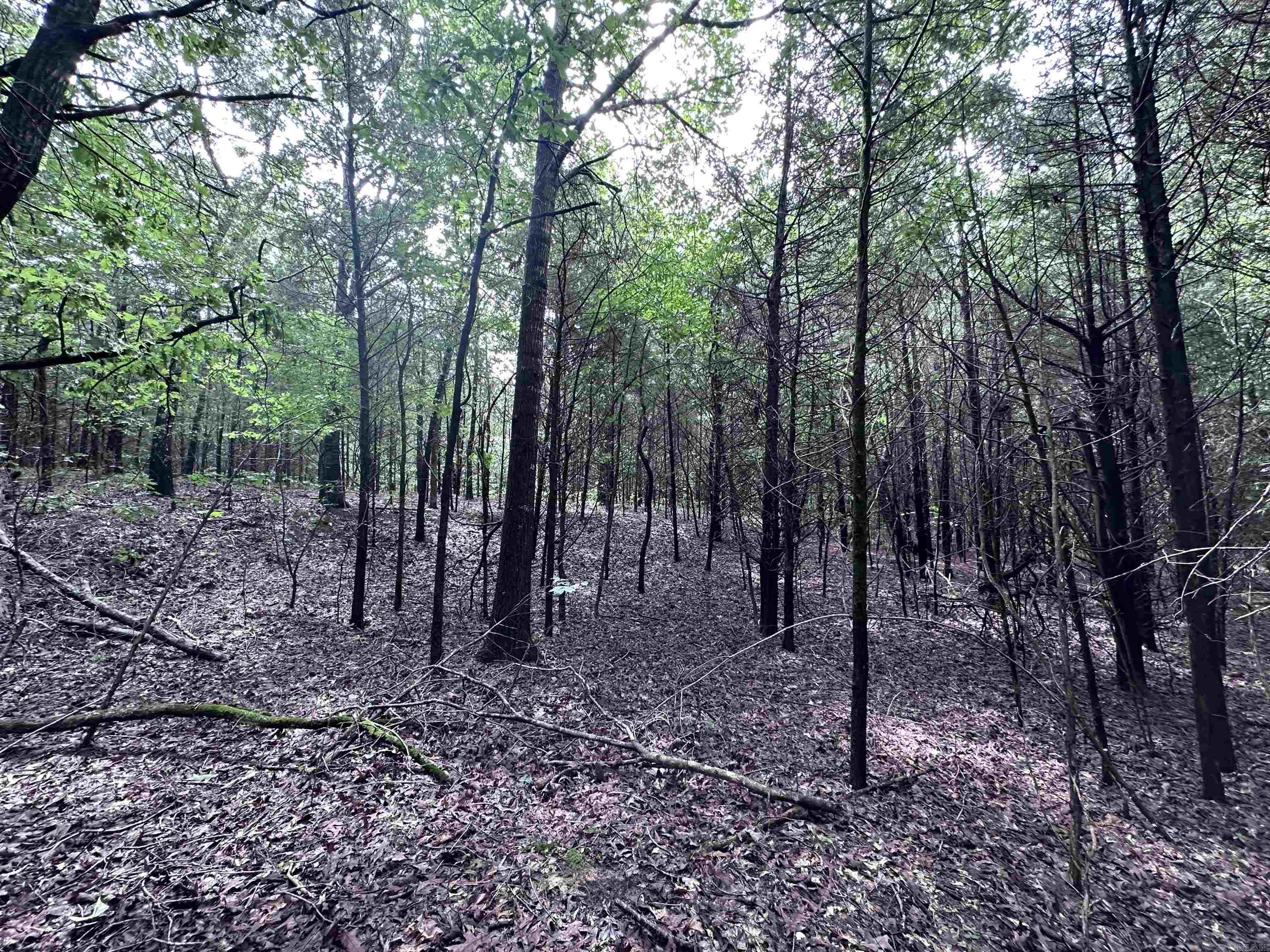 1 Clay 472/461  Piggott, AR