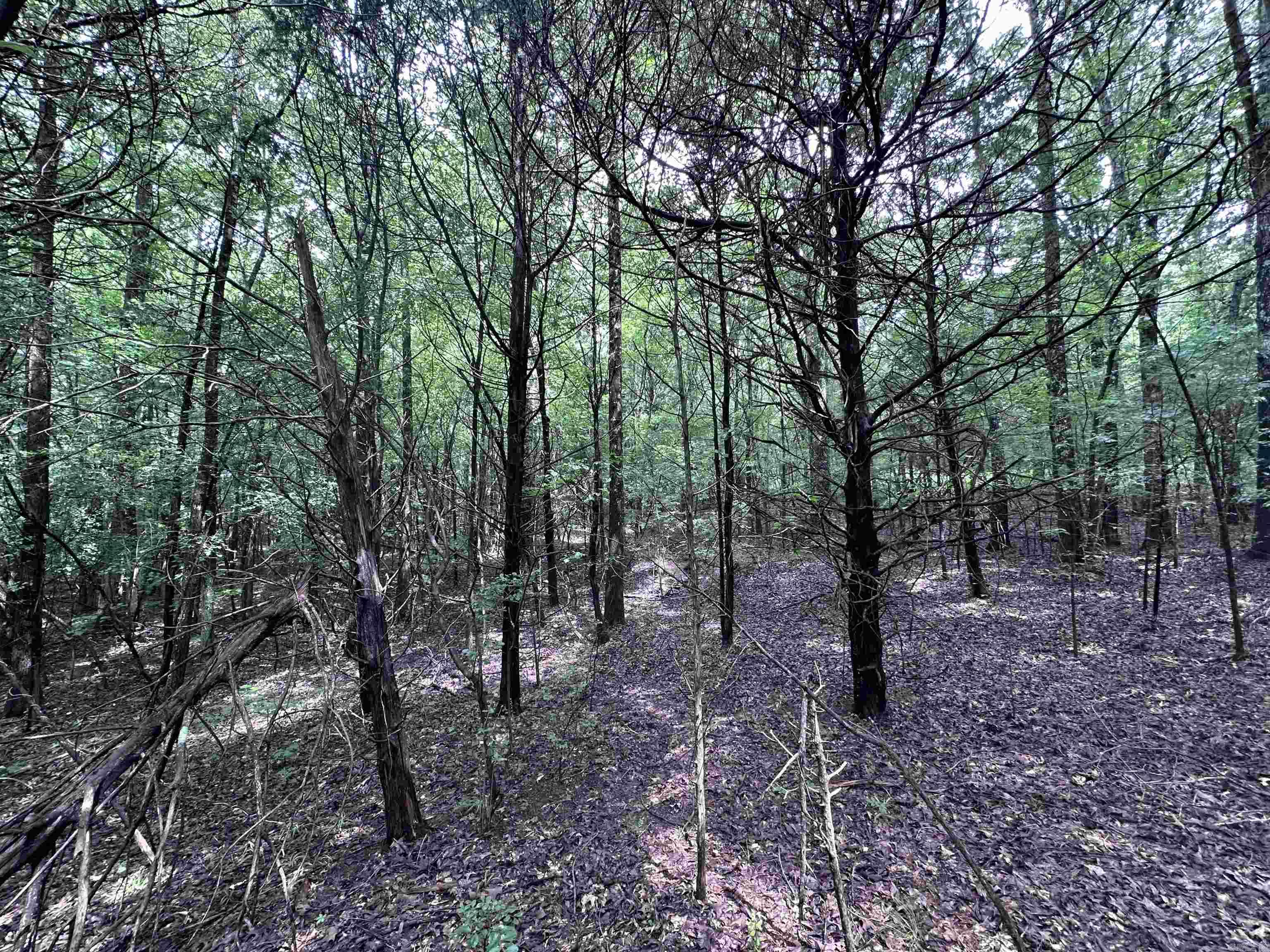 1 Clay 472/461  Piggott, AR