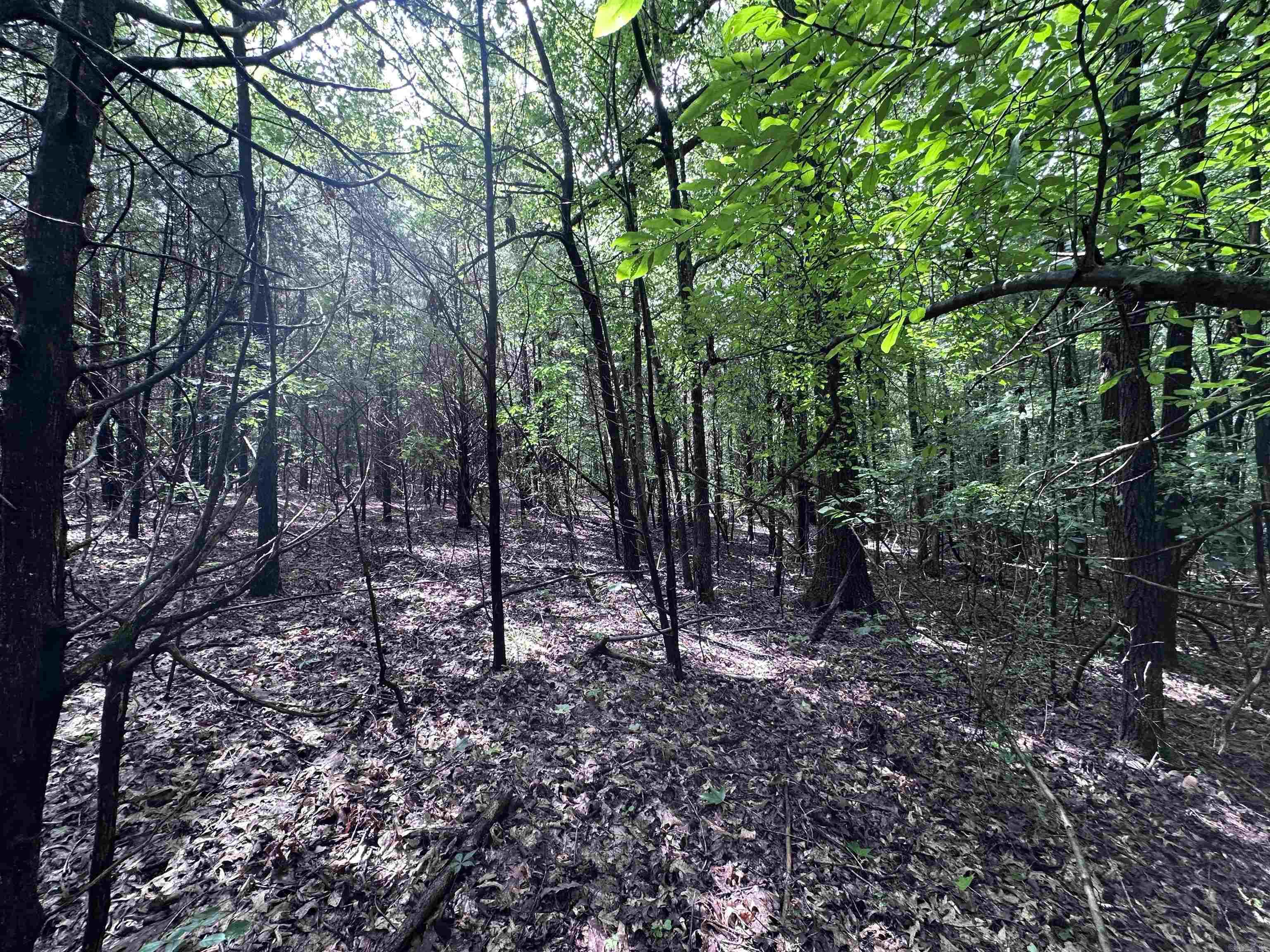 1 Clay 472/461  Piggott, AR