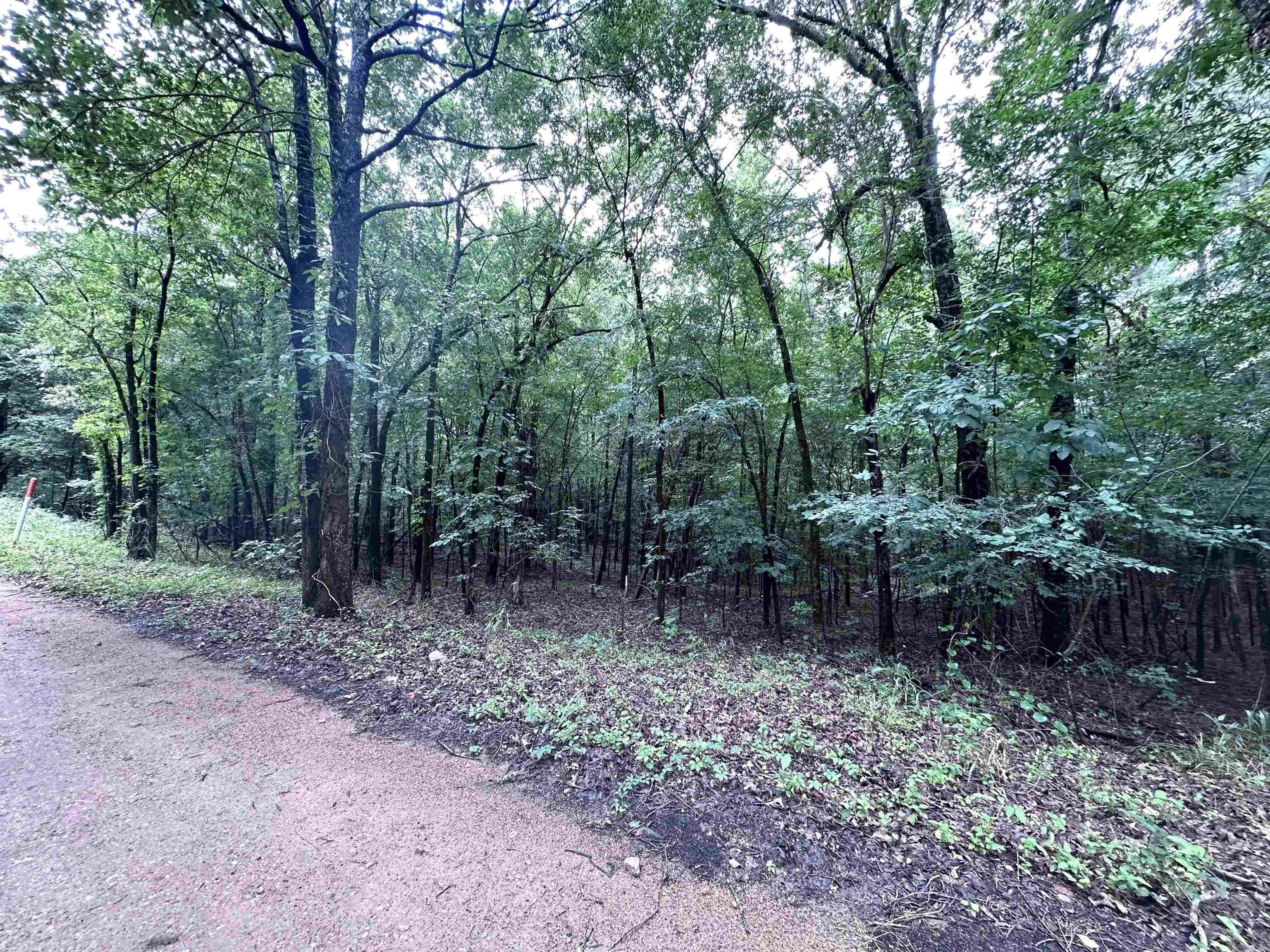 1 Clay 472/461  Piggott, AR
