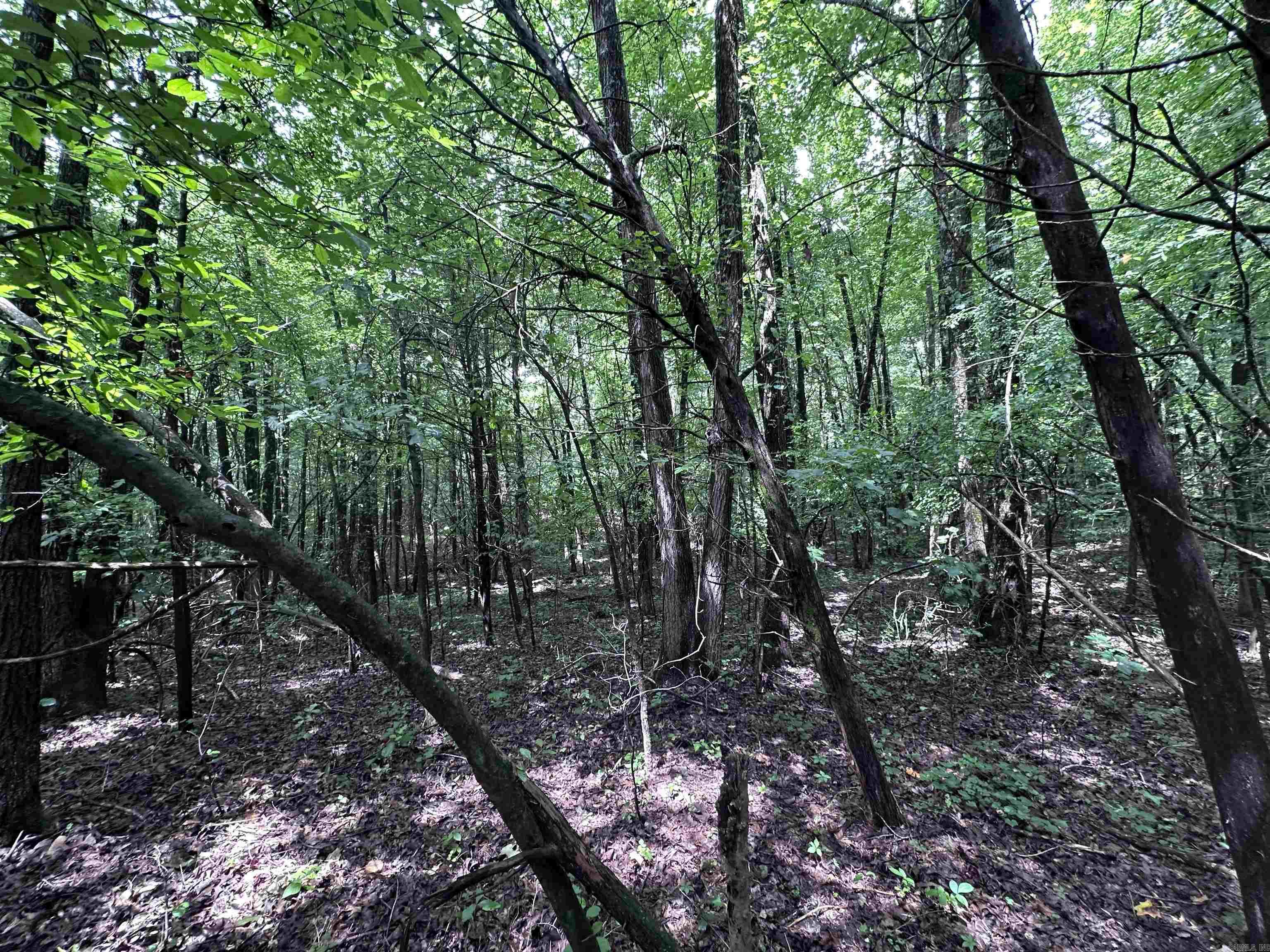 1 Clay 472/461  Piggott, AR