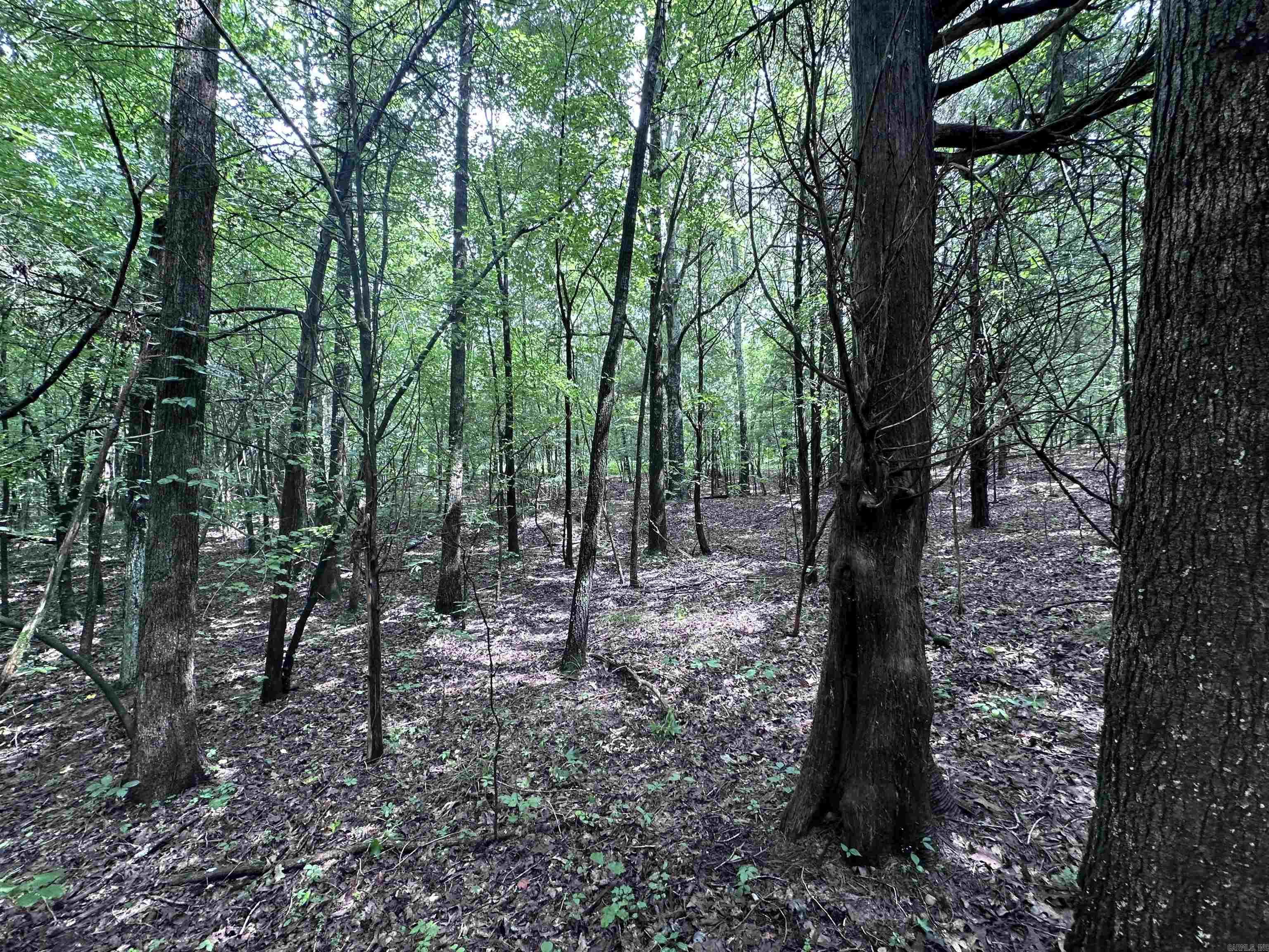1 Clay 472/461  Piggott, AR