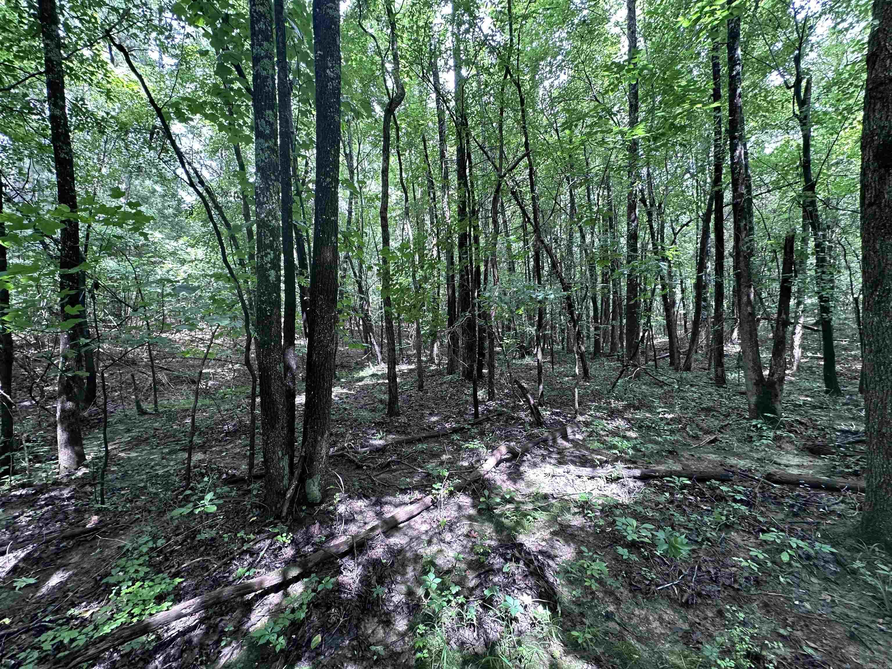 1 Clay 472/461  Piggott, AR