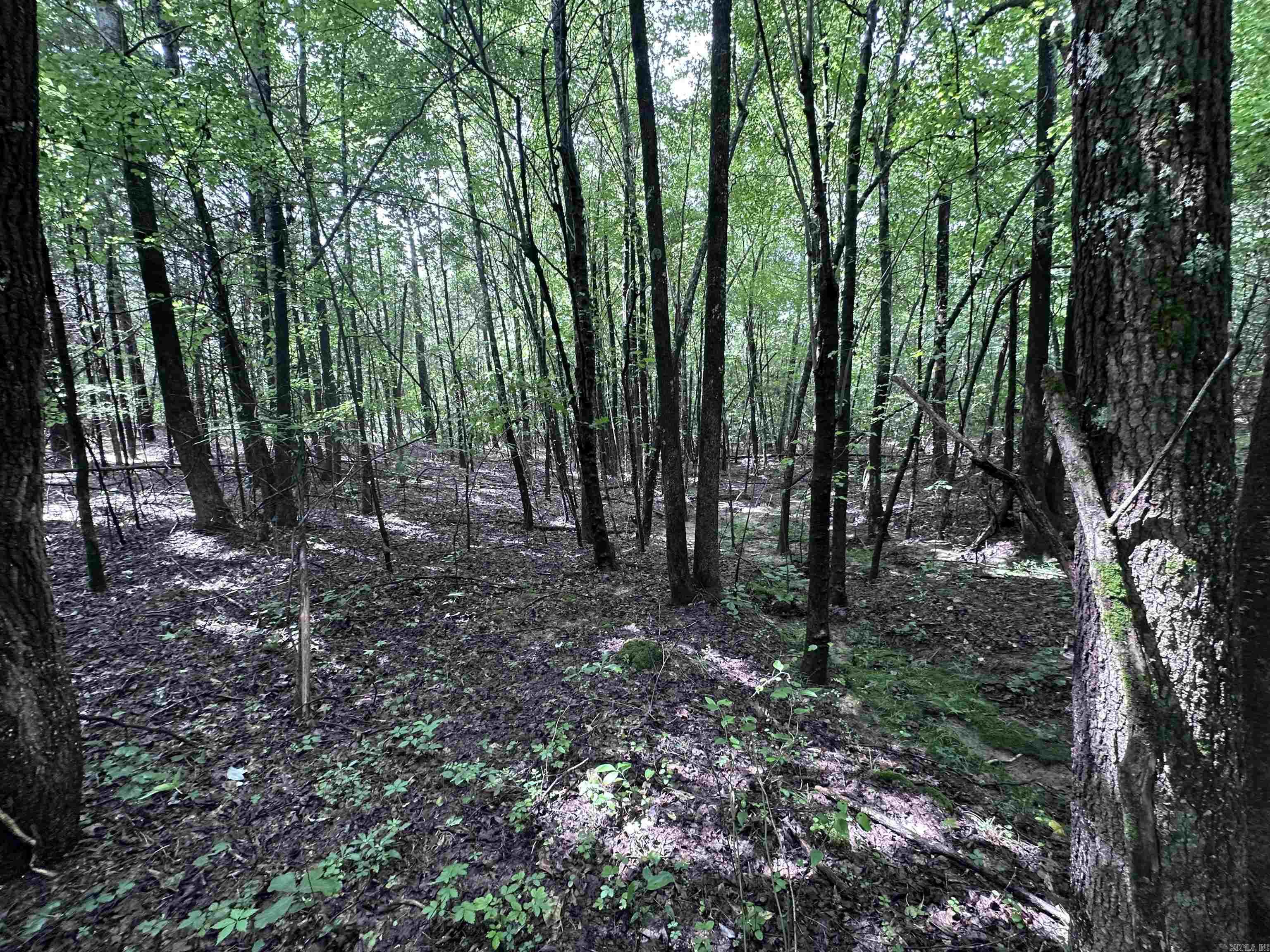 1 Clay 472/461  Piggott, AR