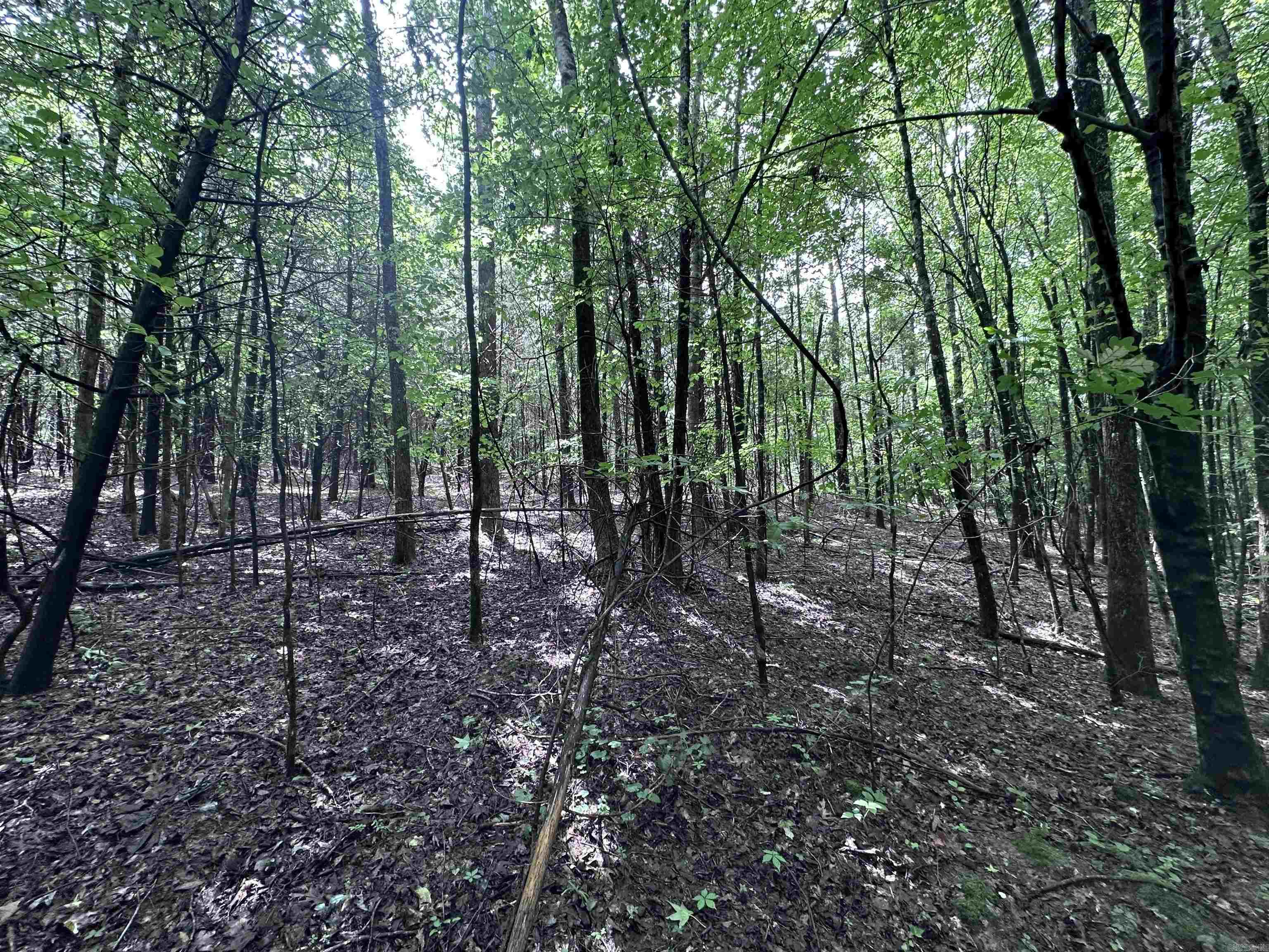 1 Clay 472/461  Piggott, AR