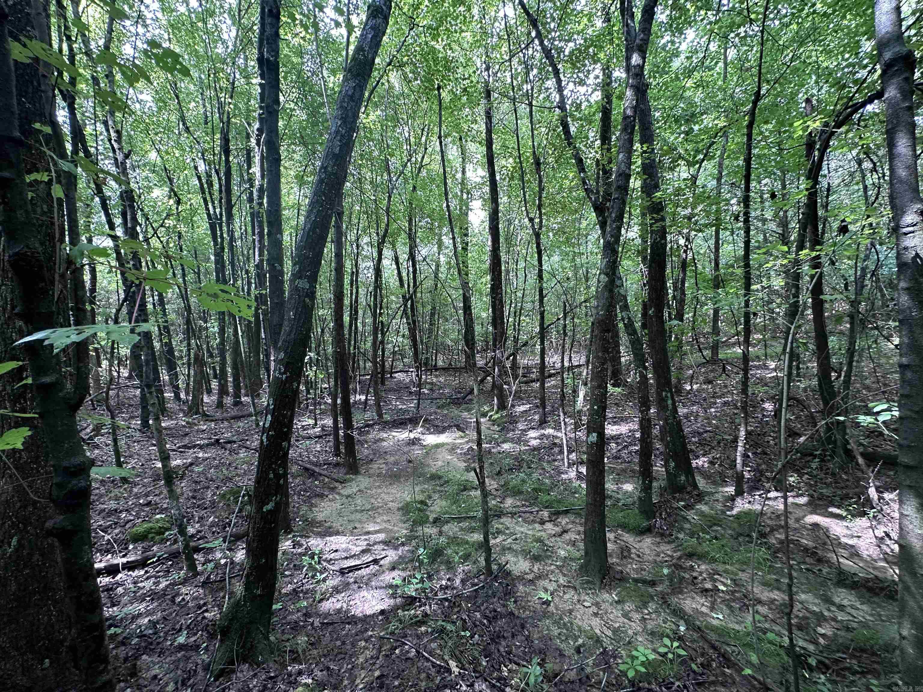 1 Clay 472/461  Piggott, AR