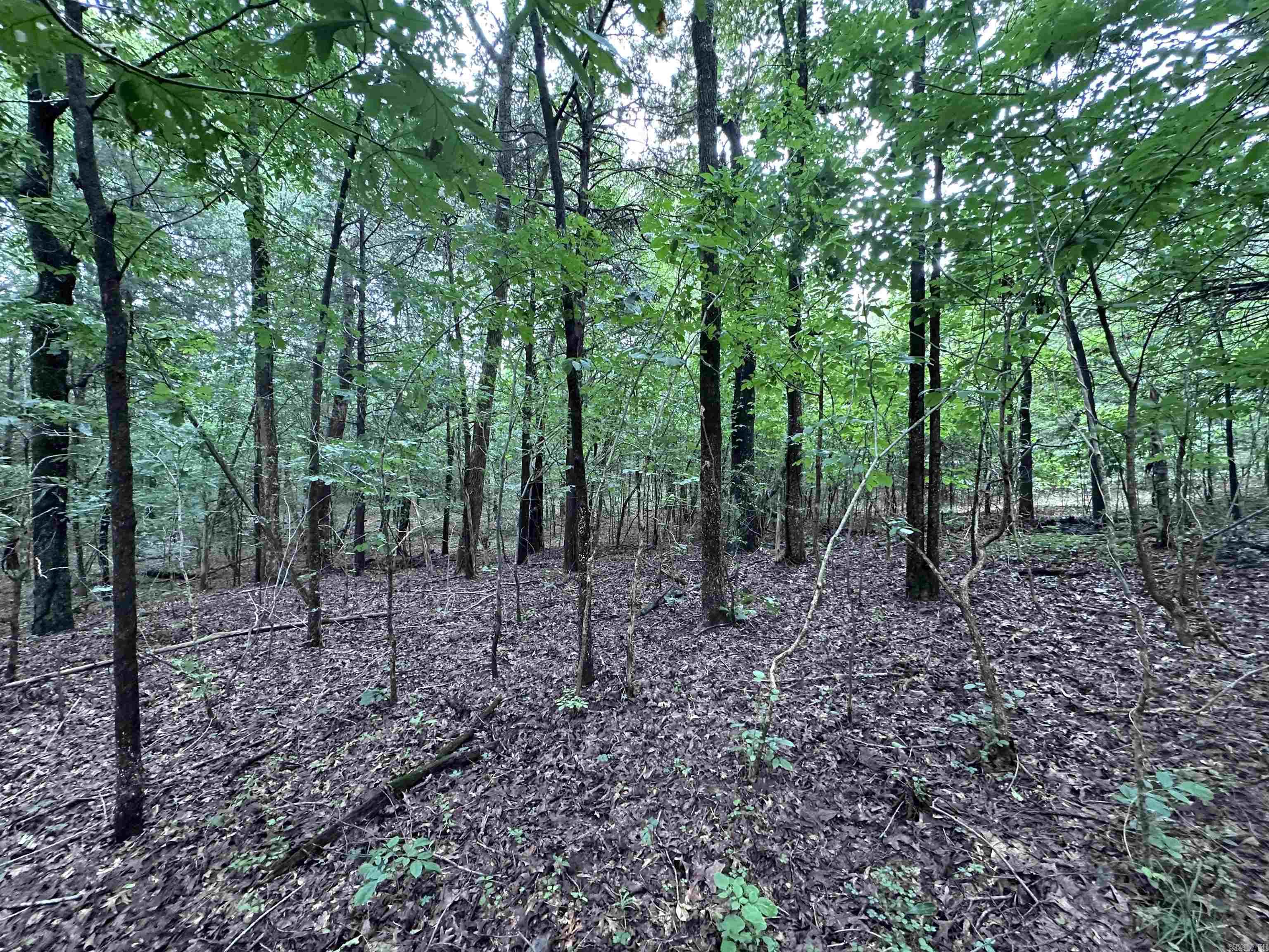1 Clay 472/461  Piggott, AR