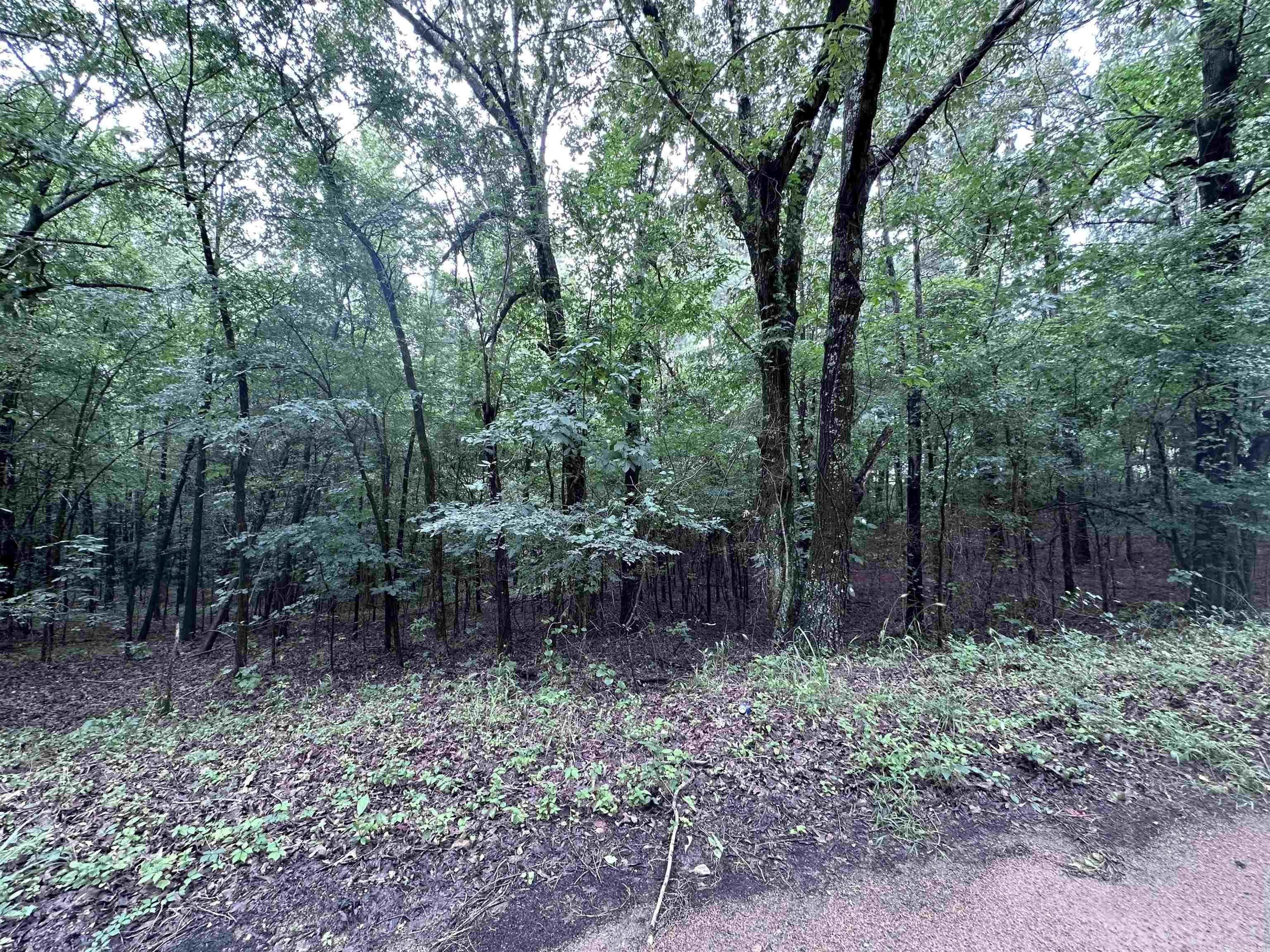 1 Clay 472/461  Piggott, AR