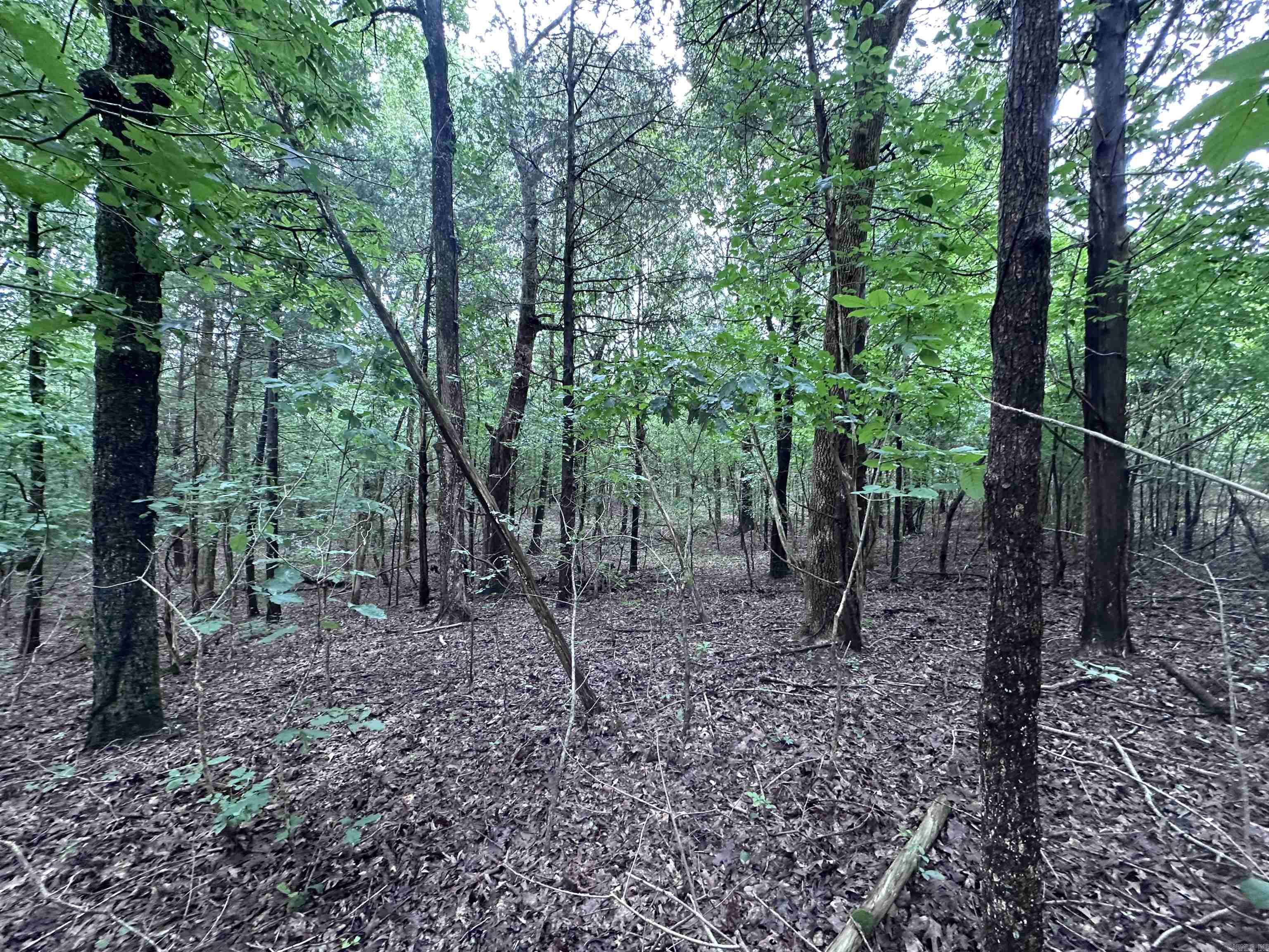 1 Clay 472/461  Piggott, AR